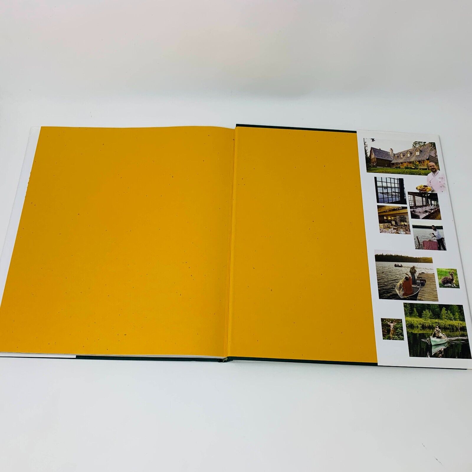 2003 Gastronomie en Forêt Gesti-Faune Livre Recettes Cuisine en Français French