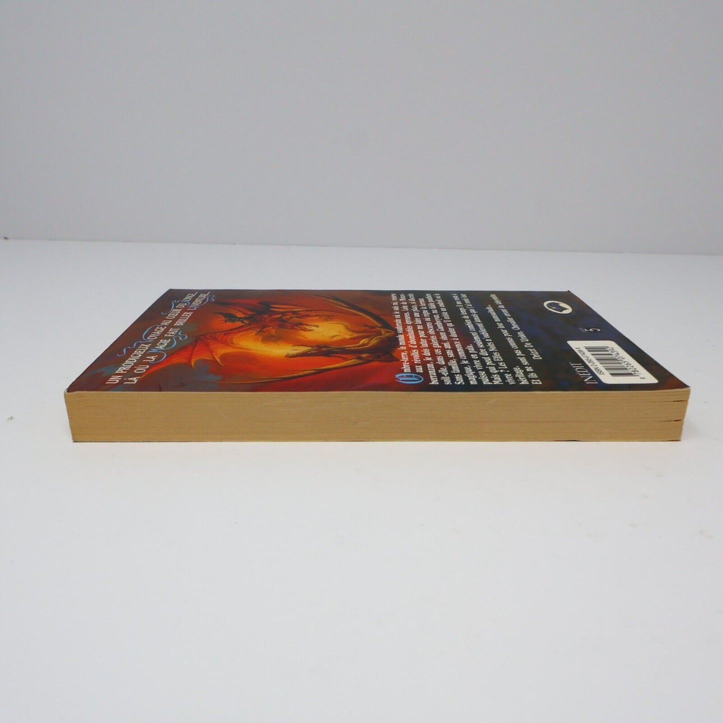 1990 Terre d'Exil Royaumes Oubliés #5 de R. A. Salvatore Forgotten Realms PB 90s
