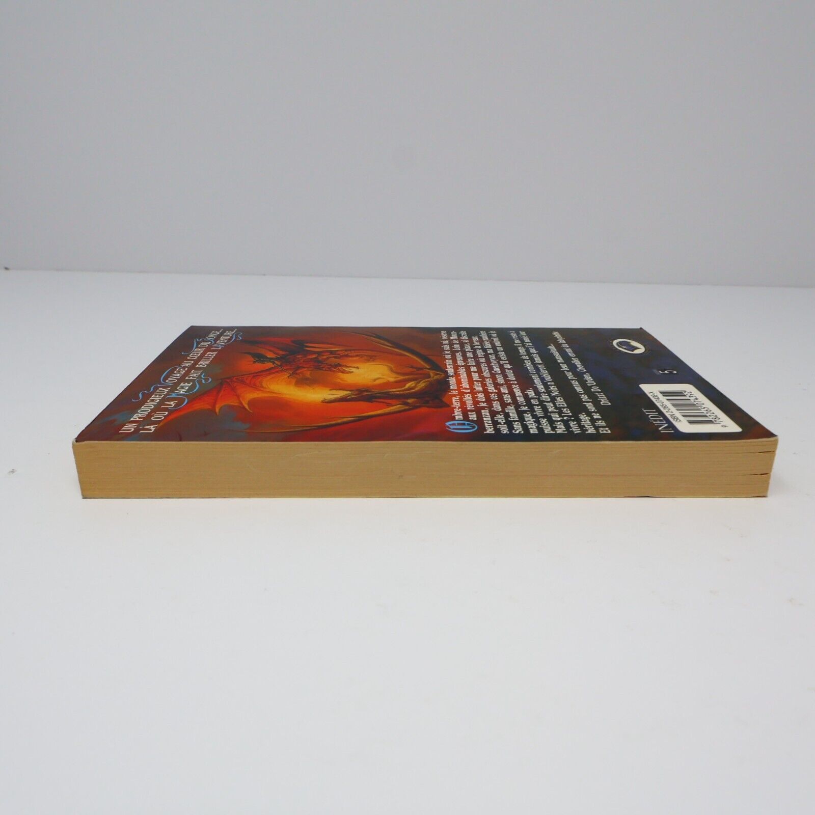 1990 Terre d'Exil Royaumes Oubliés #5 de R. A. Salvatore Forgotten Realms PB 90s