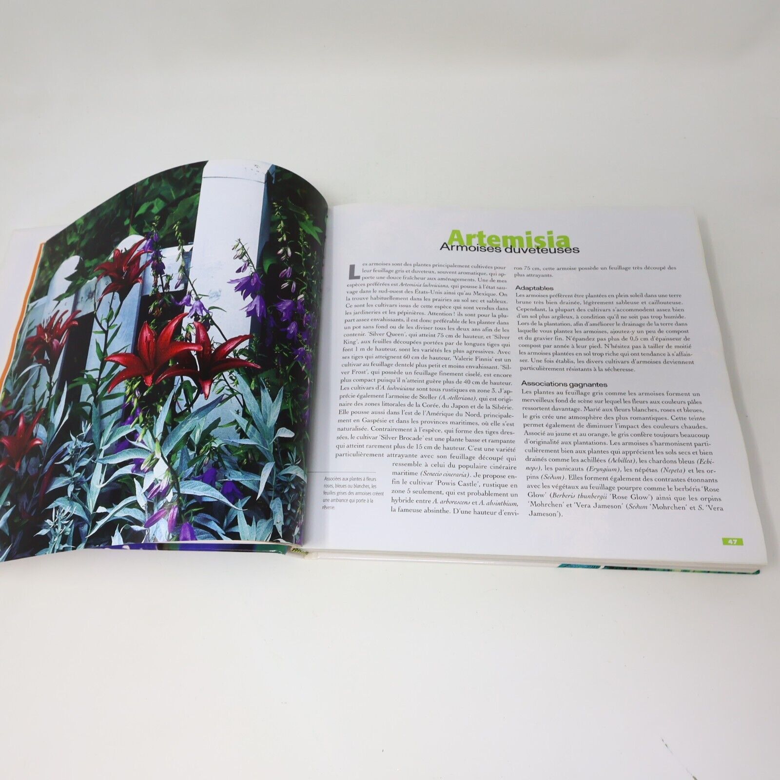 2001 Le Grand Livres des Vivaces Albert Mondor Horticulture Jardinage De L'homme