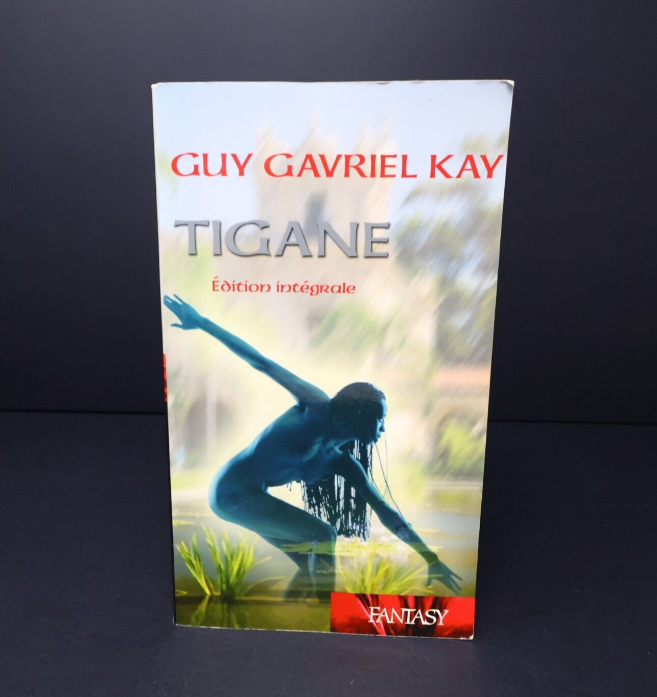 1998 Tigane de Guy Gavriel Kay Édition Intégrale Fantasy BCE Québec Loisirs PB
