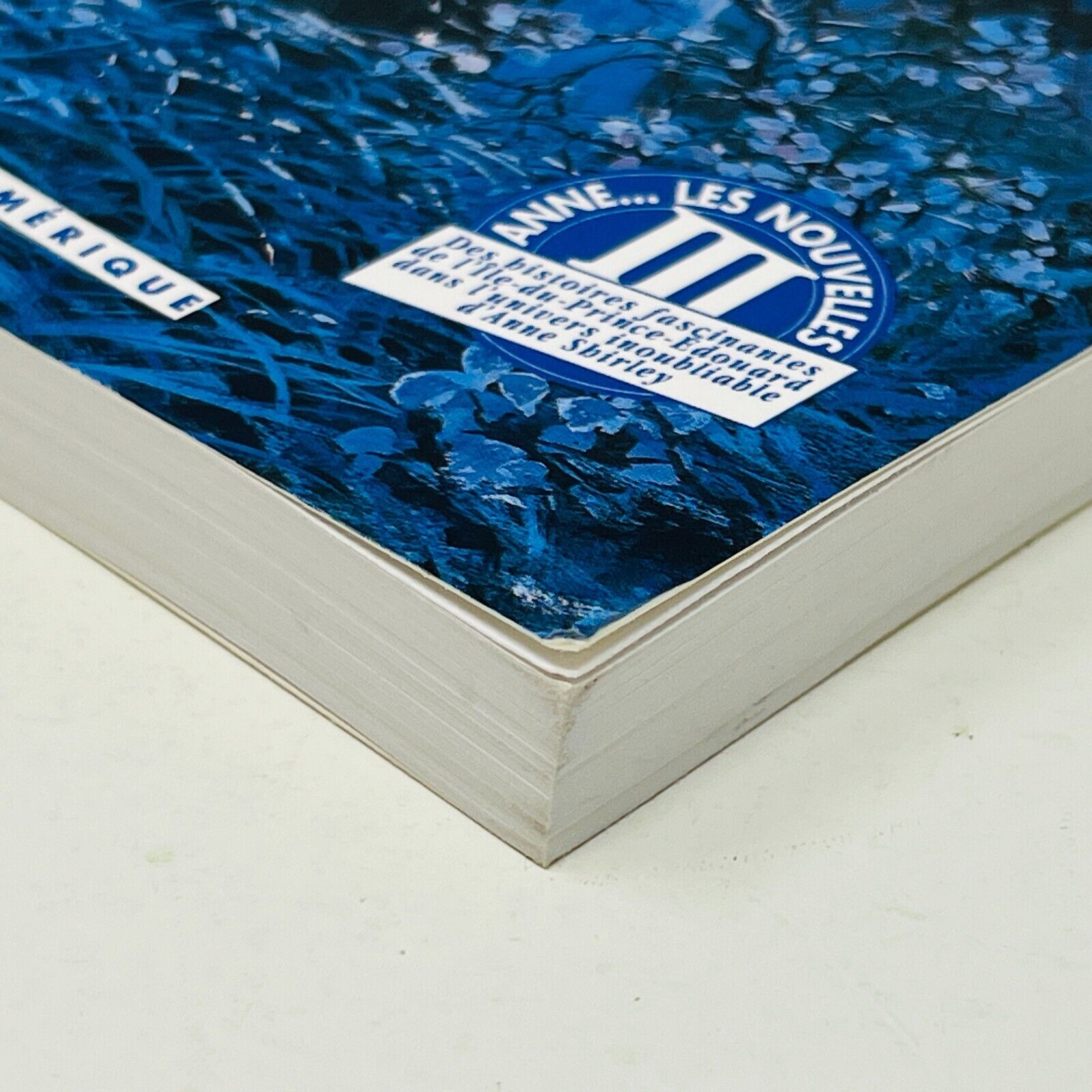 1993 Au-Delà des Ténèbres de Lucy Maud Montgomery Québec/Amérique en Français