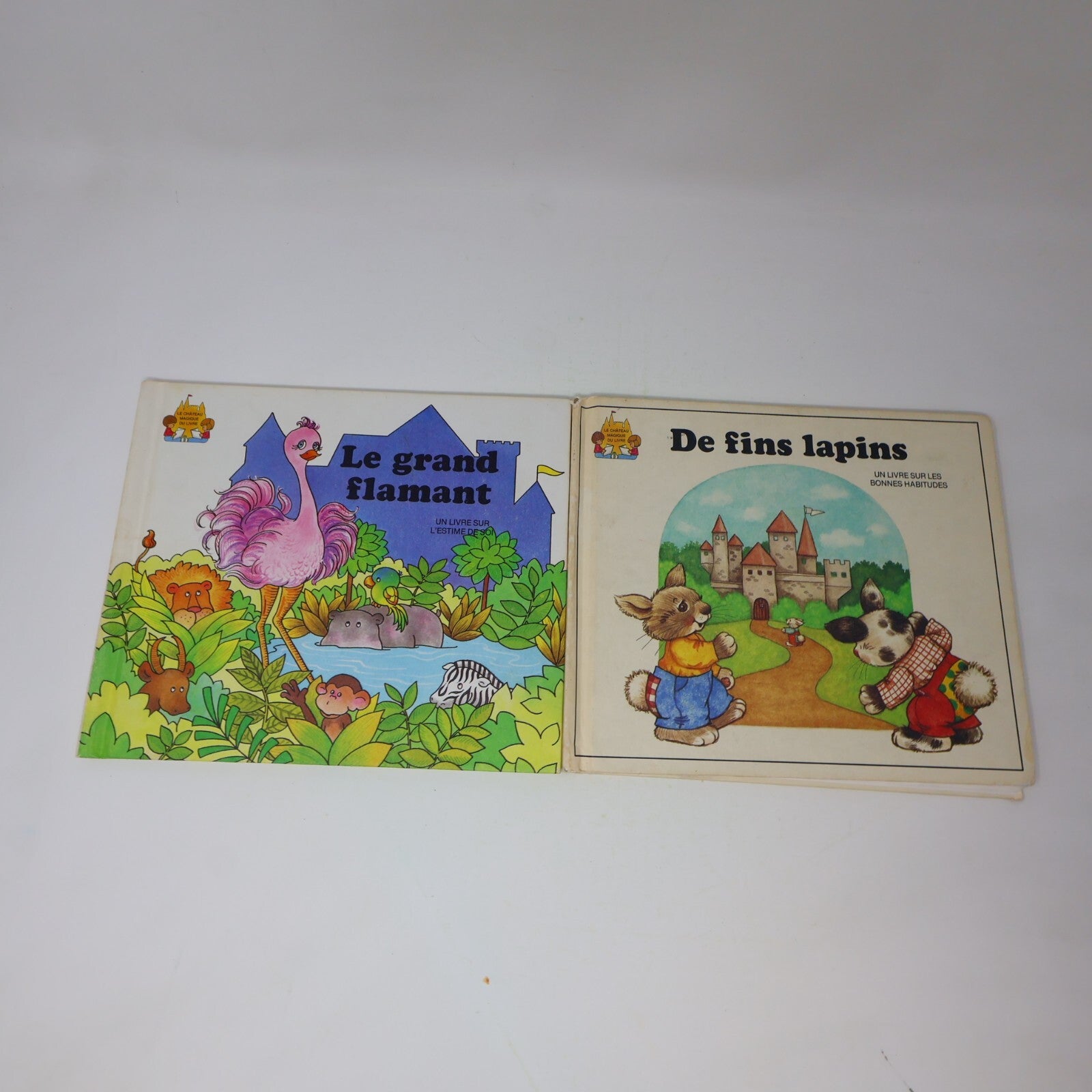 Lot 14 Le Château Magique du Livre Jane Belk Moncure Livres Enfants Français 80s