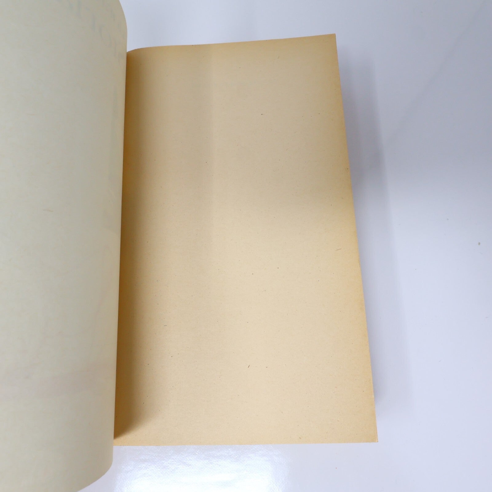 La Storia #1-2 Série Complète Lot 2 Livres Elsa Morante Folio Fiction Historique