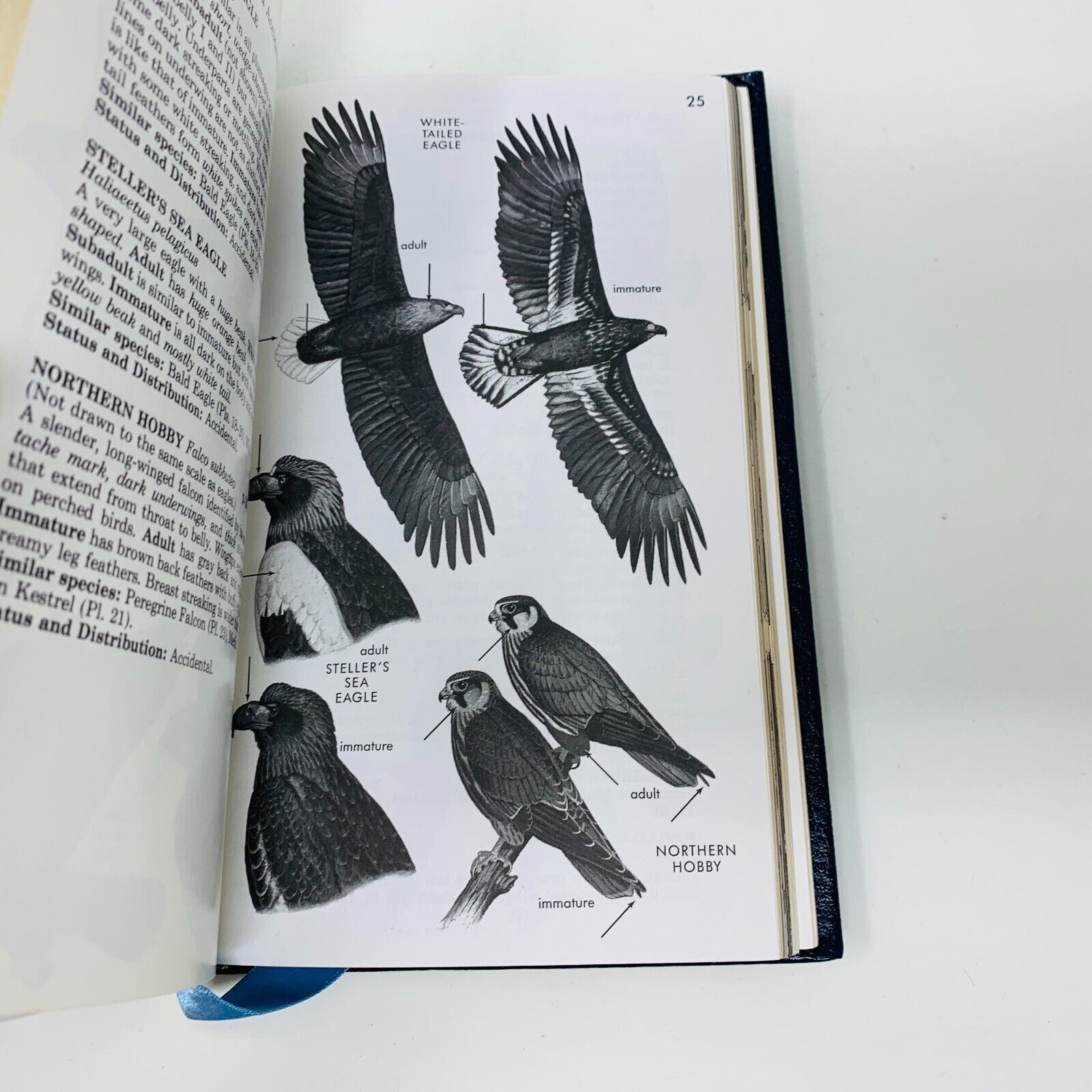 1987 Hawks Roger Tory Peterson Field Guide Collector's Ed Leather Bound Clark