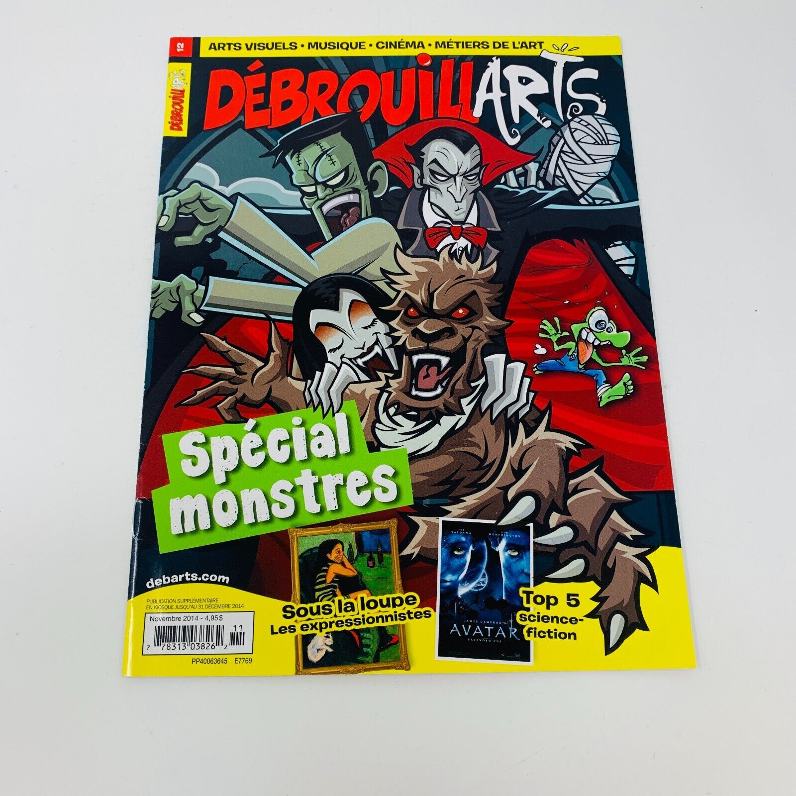 Lot de 9 Magazines Les DébrouillArts & Terre des Débrouillards Enfants Français
