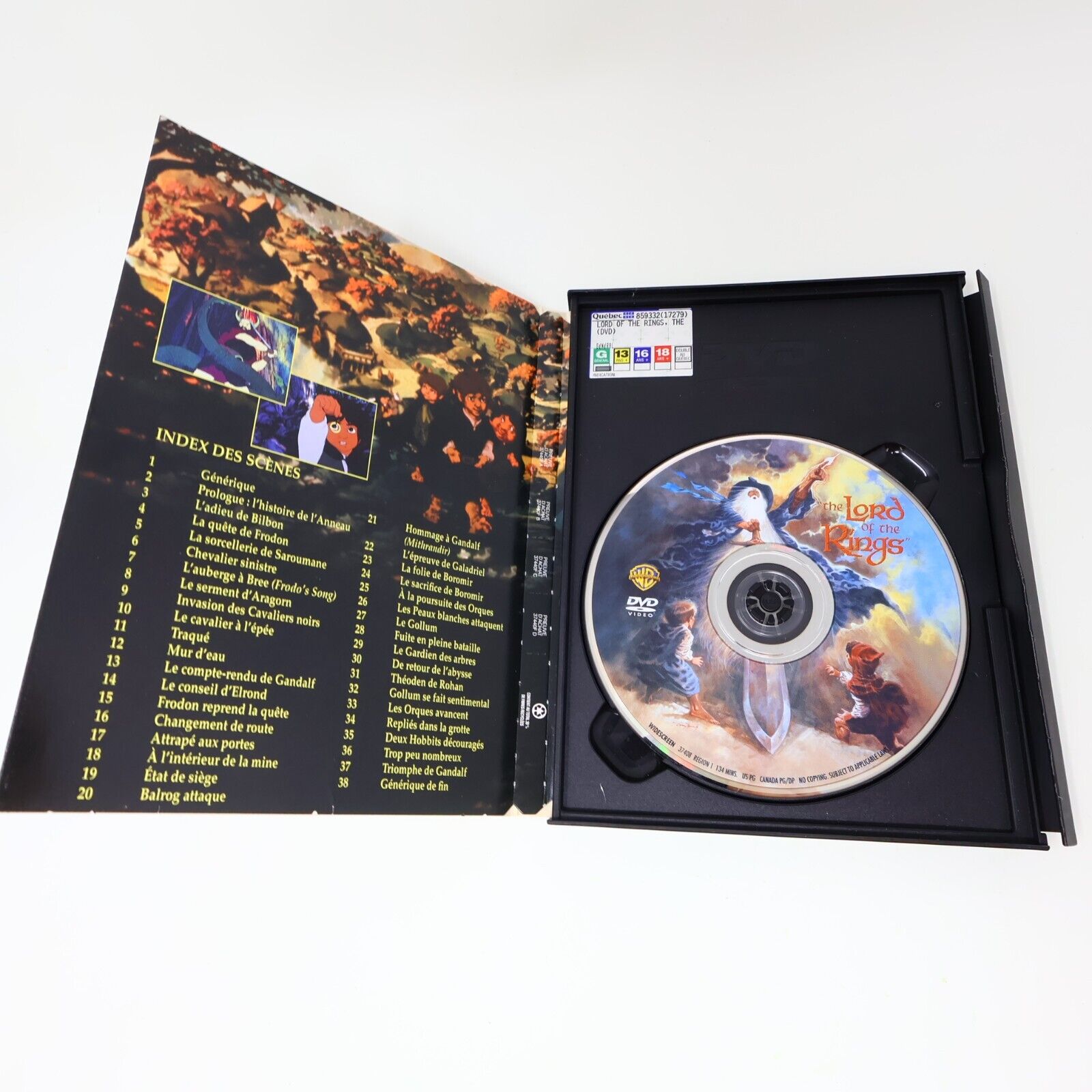 Le Seigneur des Anneaux Animé Français French DVD NTSC Tested LOTR Ralph Bakshi