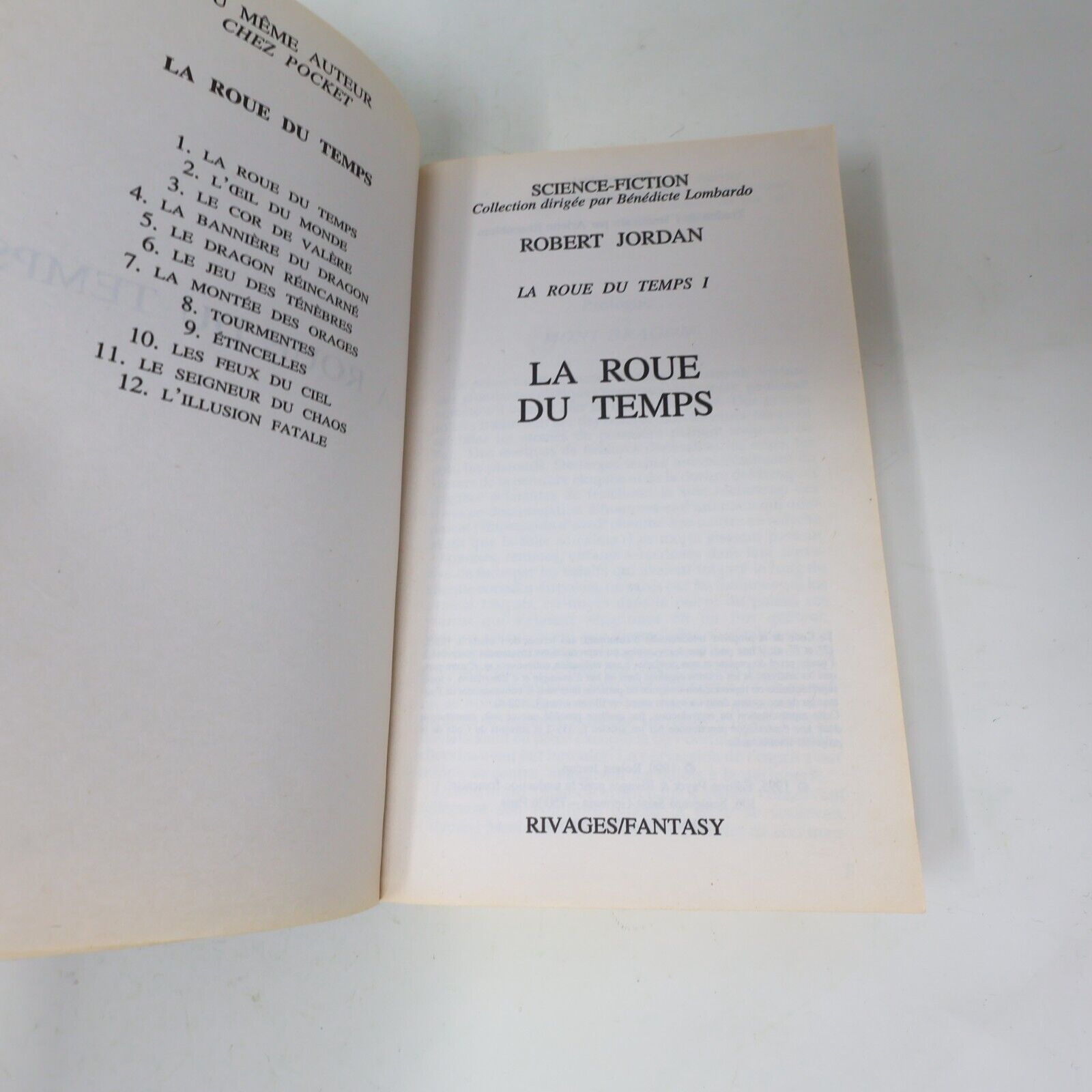 Lot 9 Livres La Roue du Temps Robert Jordan Pocket/France Loisirs Book Français