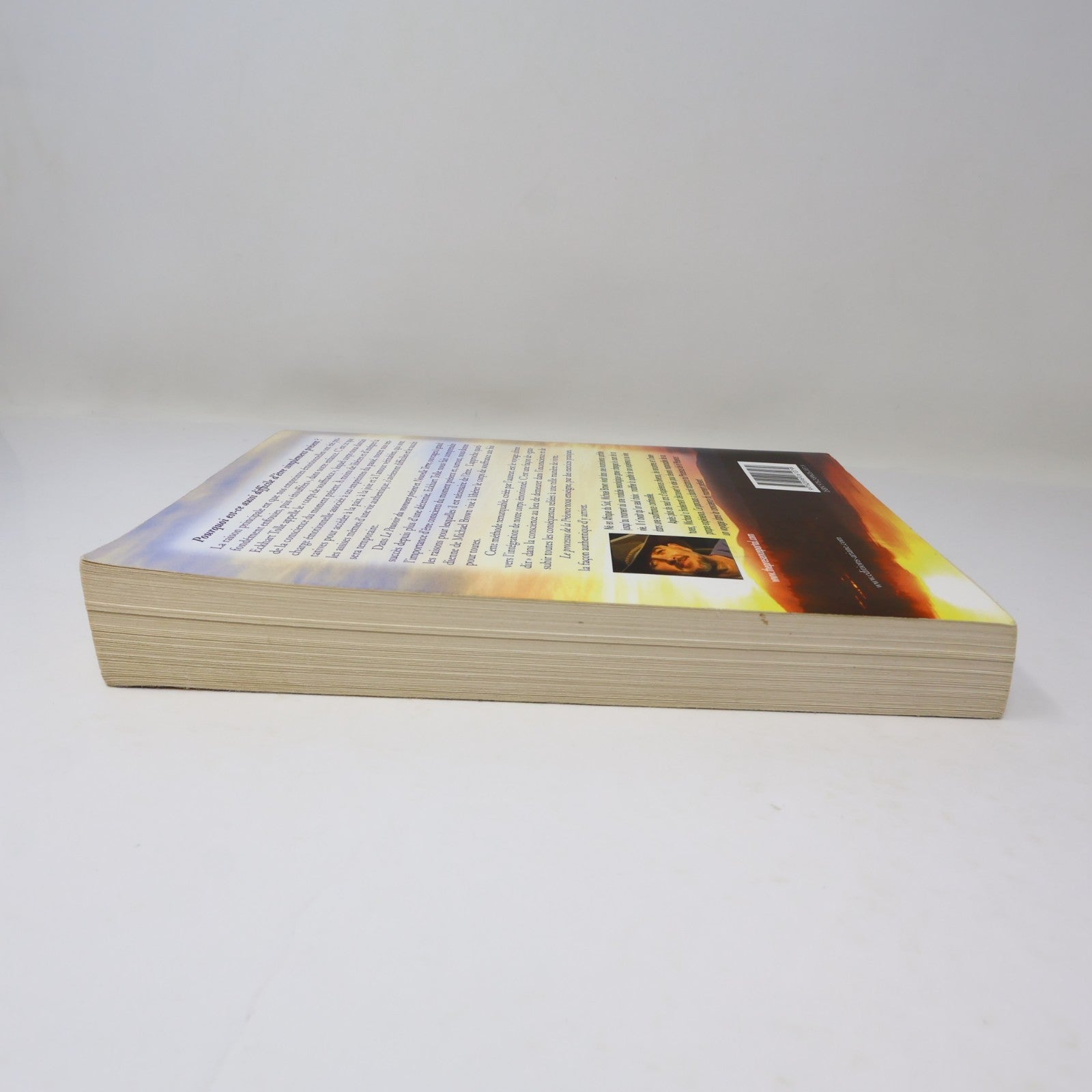 Le Processus de la Présence Michael Brown Ariane 2012 PB Français French Livre