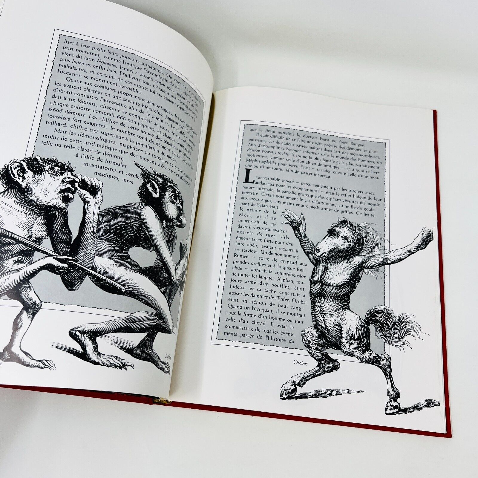 Dragons et Serpents/Sorcières Magiciens Lot Mondes Enchantés Time Life Français