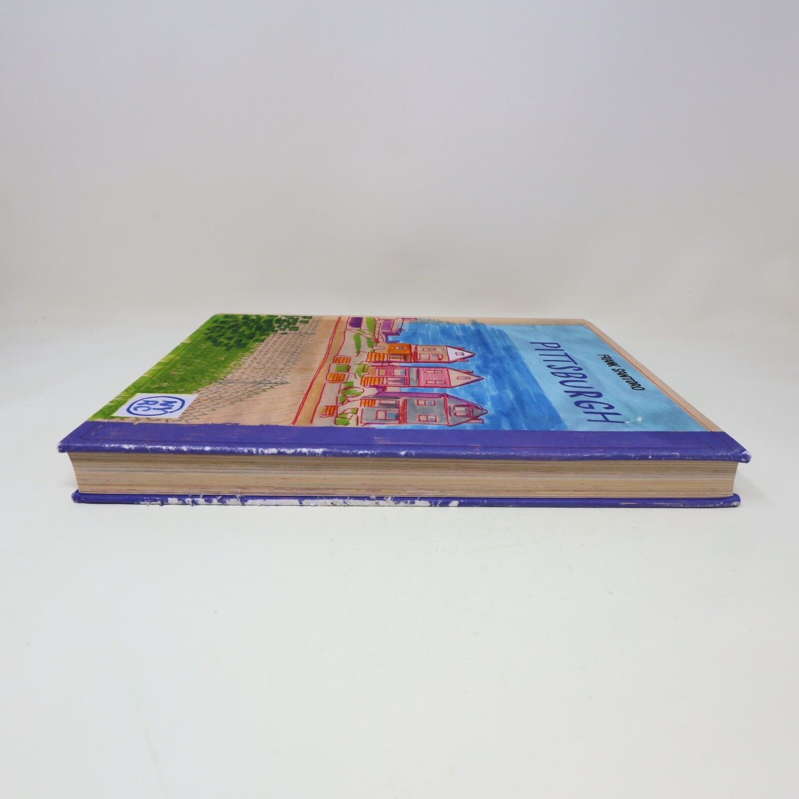 2019 Pittsburgh by Frank Santoro New York Review Comics Family Relations HC