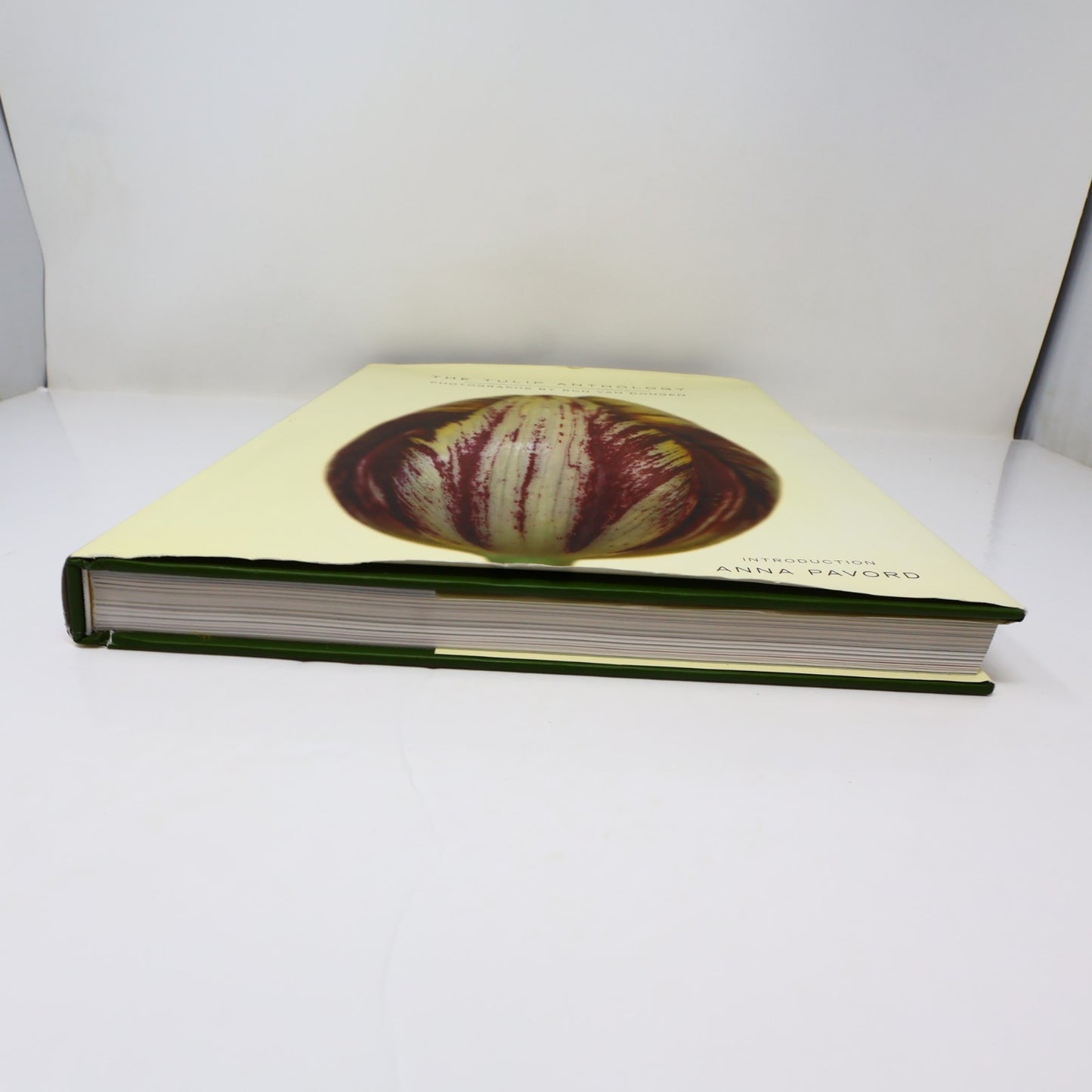 The Tulip Anthology Ron Van Dongen Chronicle Books 2010 HC DJ Art Photography