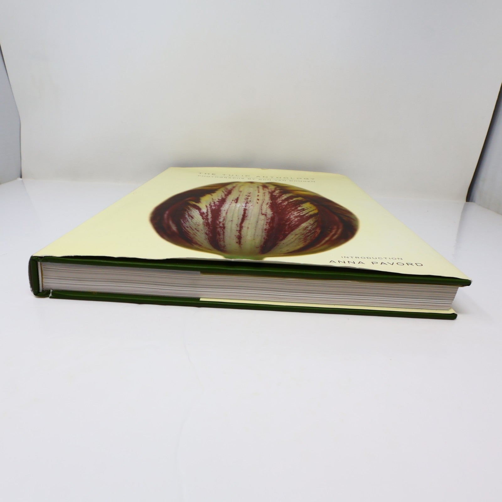The Tulip Anthology Ron Van Dongen Chronicle Books 2010 HC DJ Art Photography