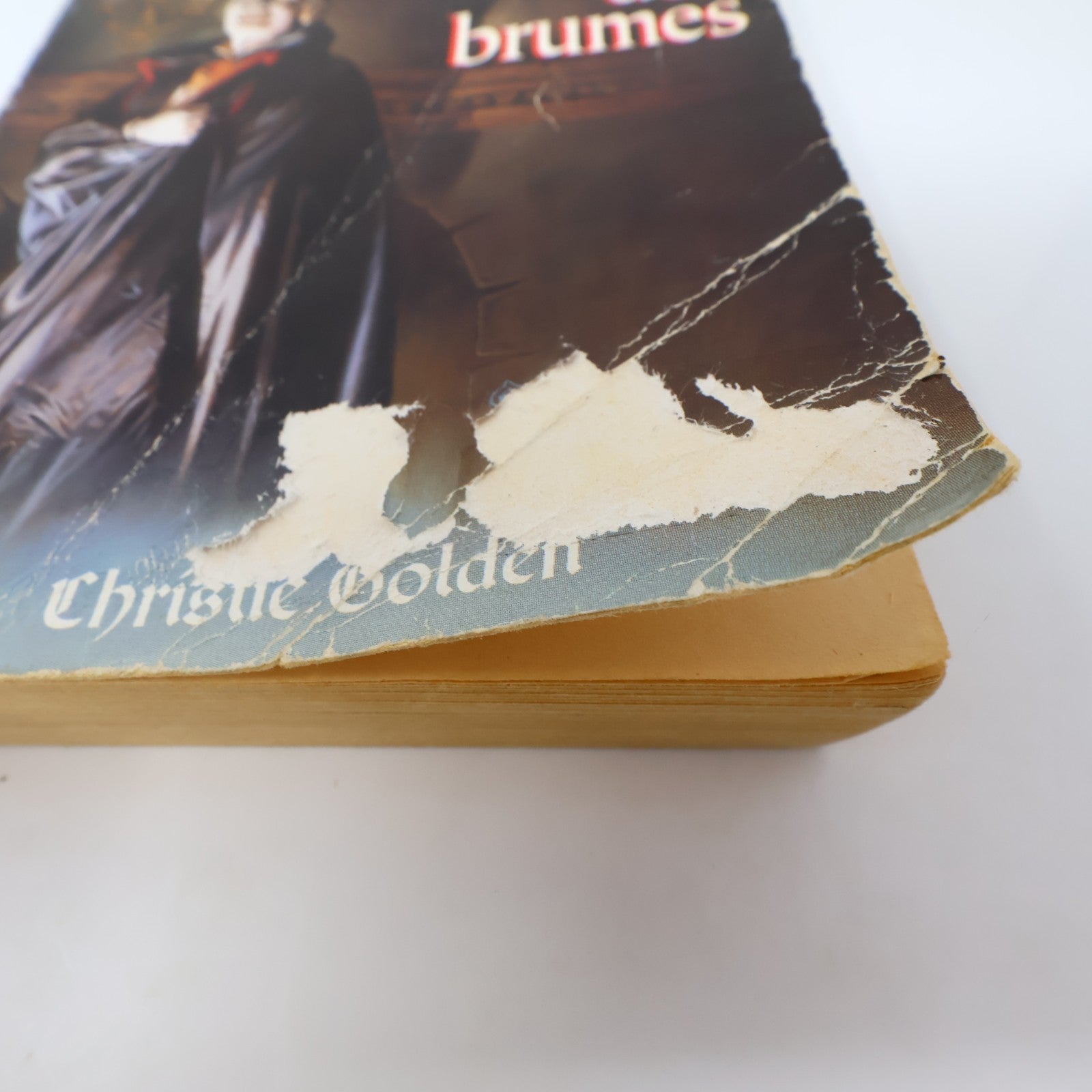 Le Vampire des Brumes Christie Golden Ravenloft #1 Fleuve Noir 1995 PB Français