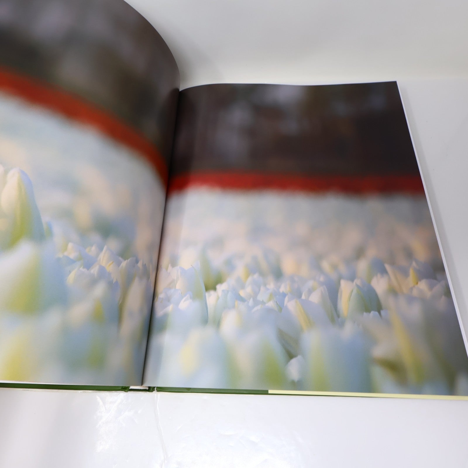 The Tulip Anthology Ron Van Dongen Chronicle Books 2010 HC DJ Art Photography
