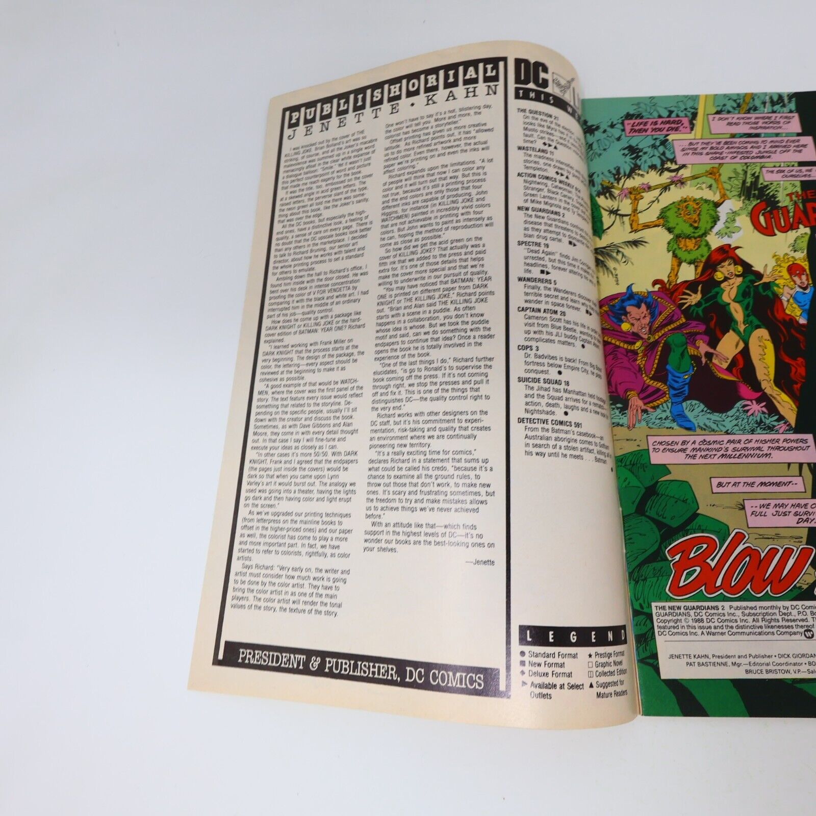 1988 Jungle Snow The New Guardians #2 Englehart/Bates/Staton/Farmer DC 80s Comic