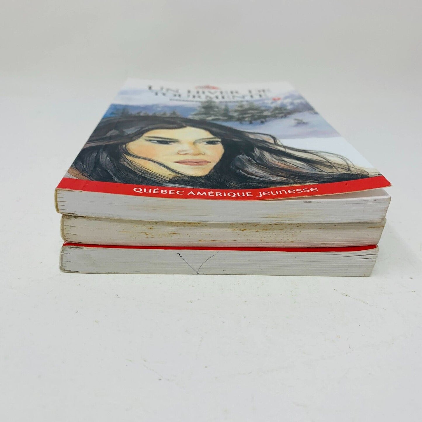 3x Marie-Tempête Série Complète Titan Jeunesse Dominique Demers Lot 3 Livres 90s