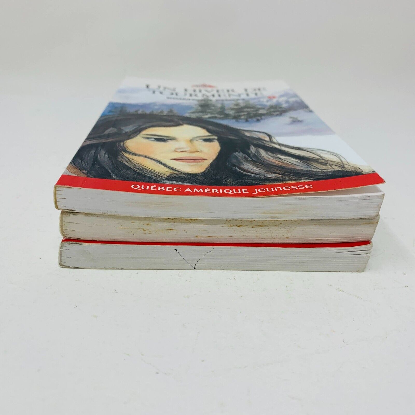 3x Marie-Tempête Série Complète Titan Jeunesse Dominique Demers Lot 3 Livres 90s