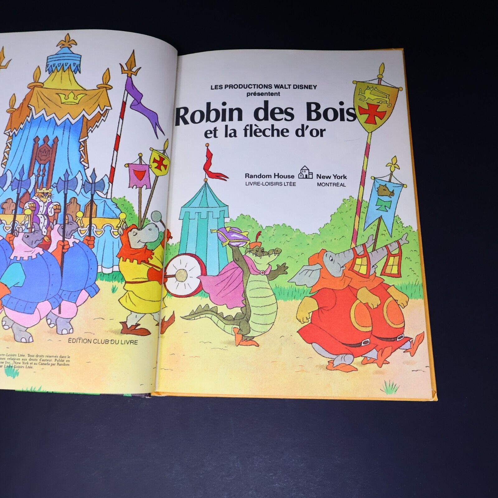 50x Livres Merveilleux de Disney Donald Mickey 70-80s Livre Loisirs Lot Français