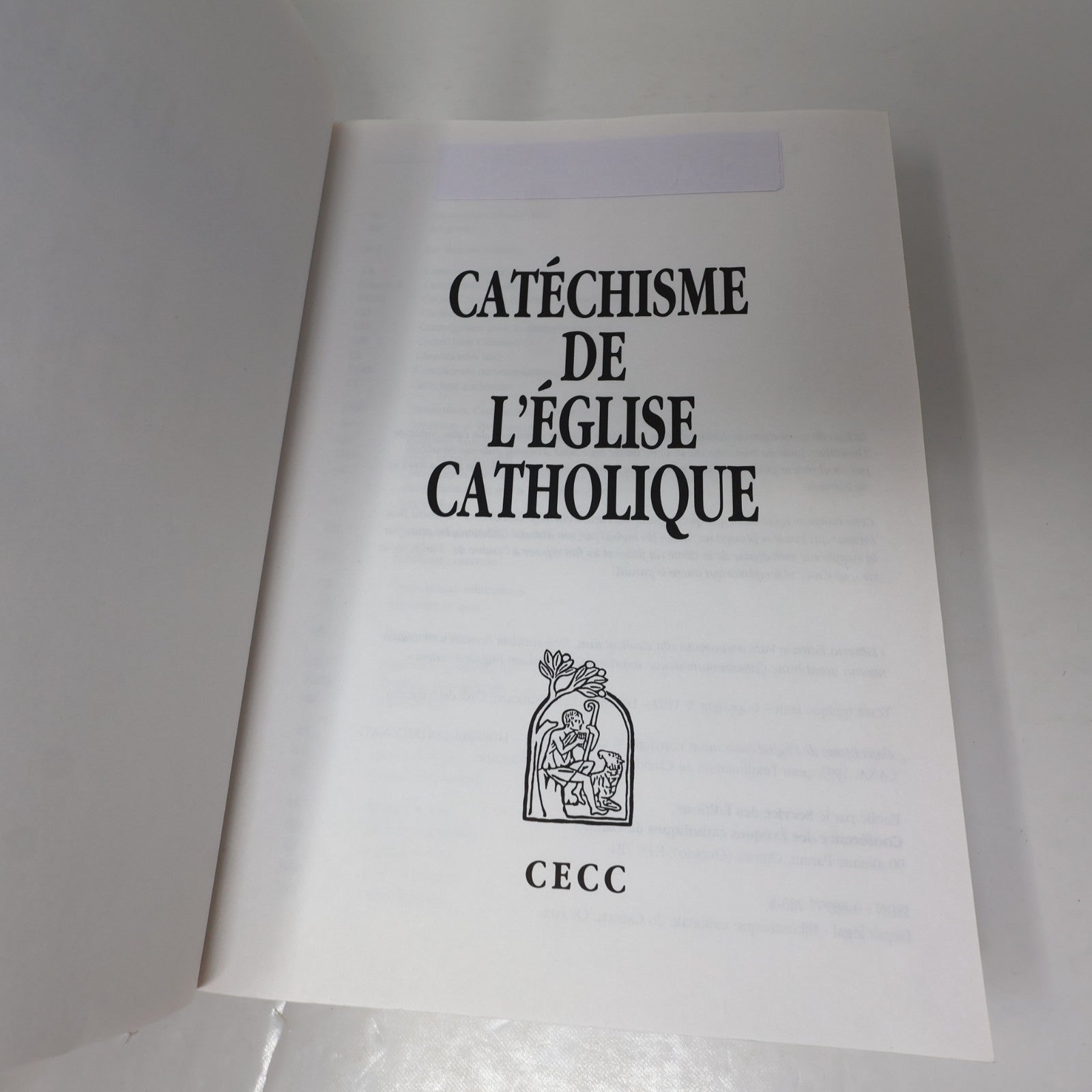 Catéchisme de l'Église Catholique Cecc 1993 PB Français French Religion Livre