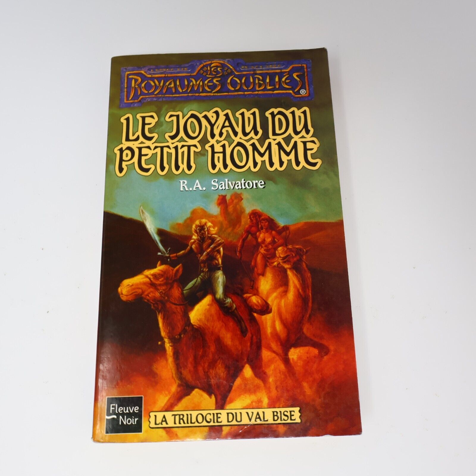2003 Le Joyau du Petit Homme Royaumes Oubliés #17 de R.A. Salvatore Paperback PB