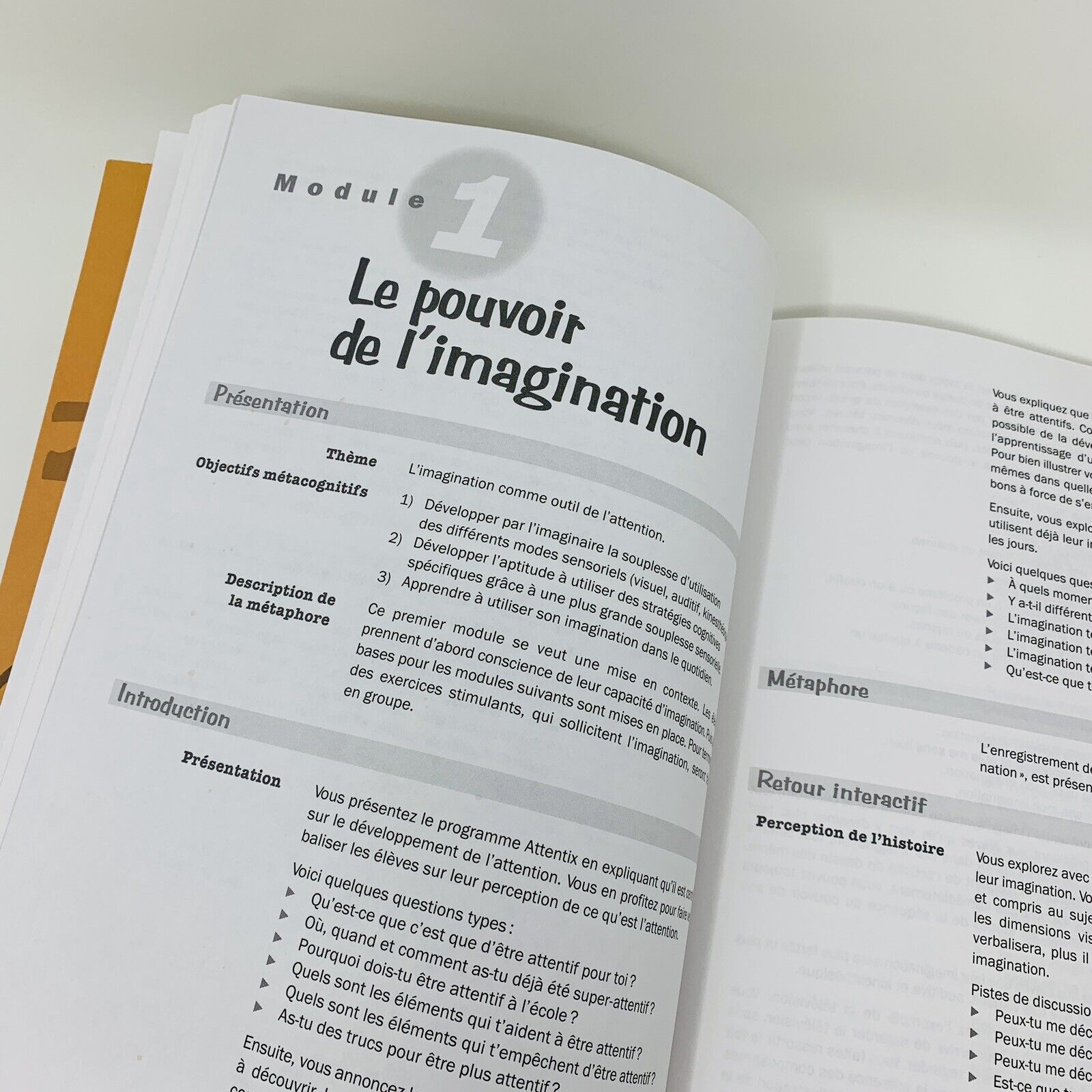 Programme Attentix Gérer Structurer l'Attention en Classe Alain Caron Livre Book