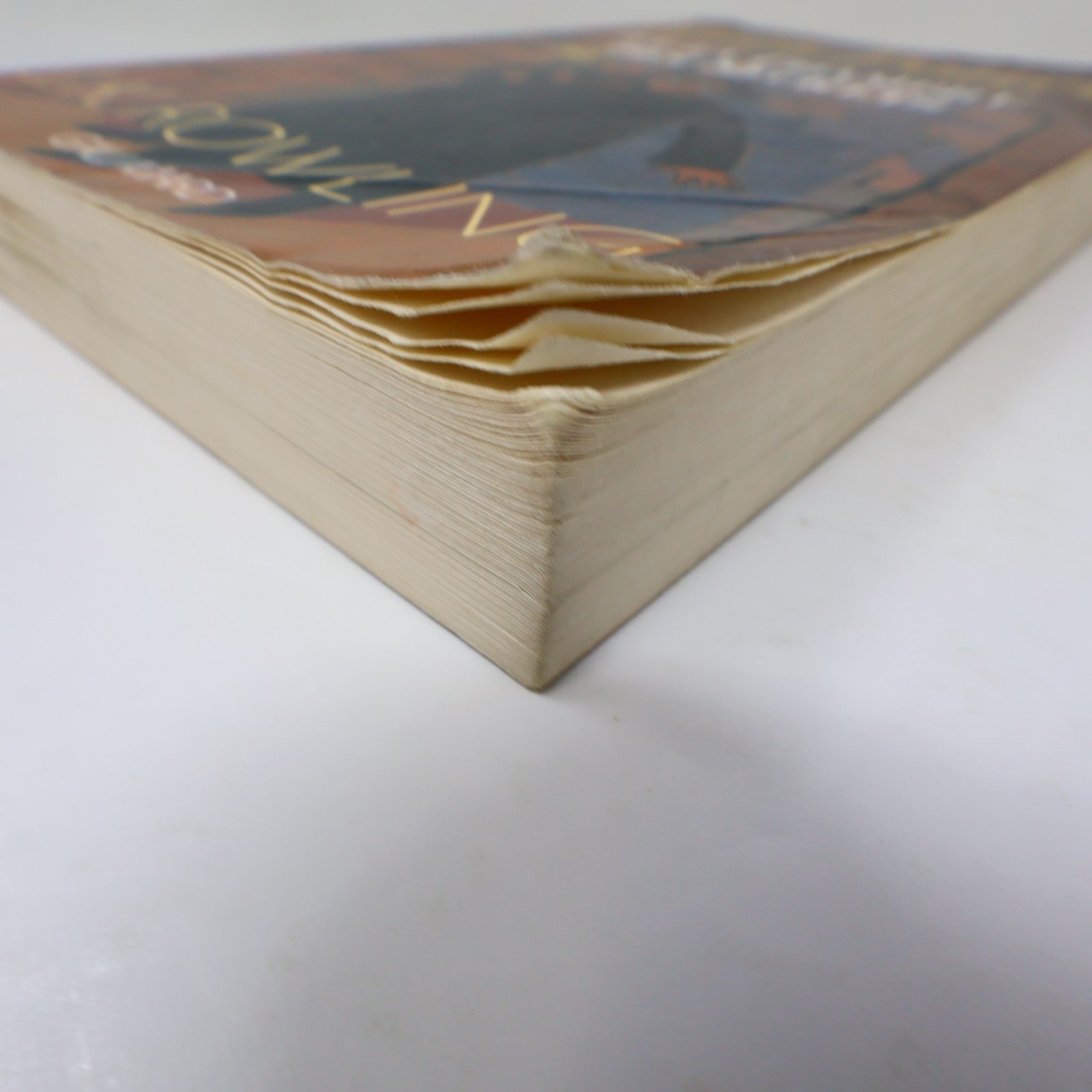 Harry Potter et la Chambre des Secrets J.K. Rowling 2005 PB Grand Format Livre