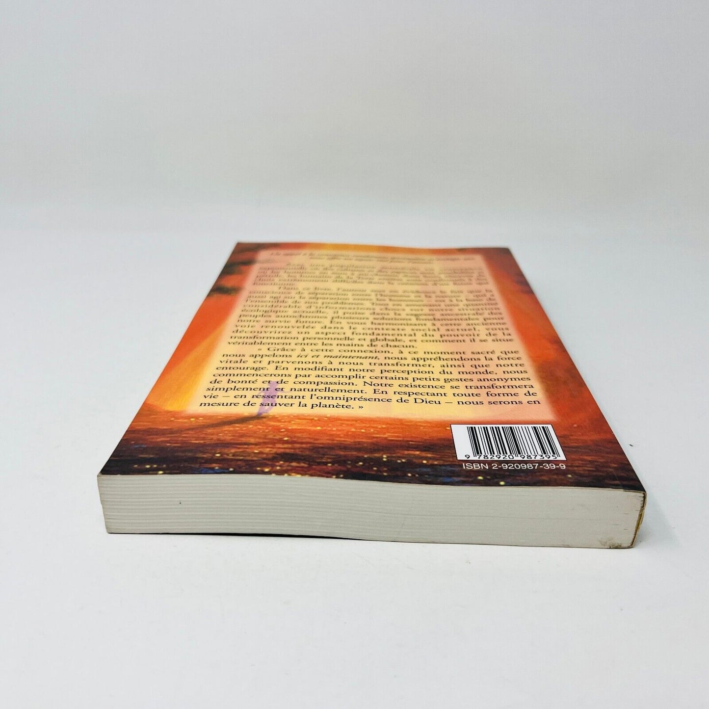 1999 Les Dernières Heures du Soleil Ancestral de Thom Hartmann Français Ariane