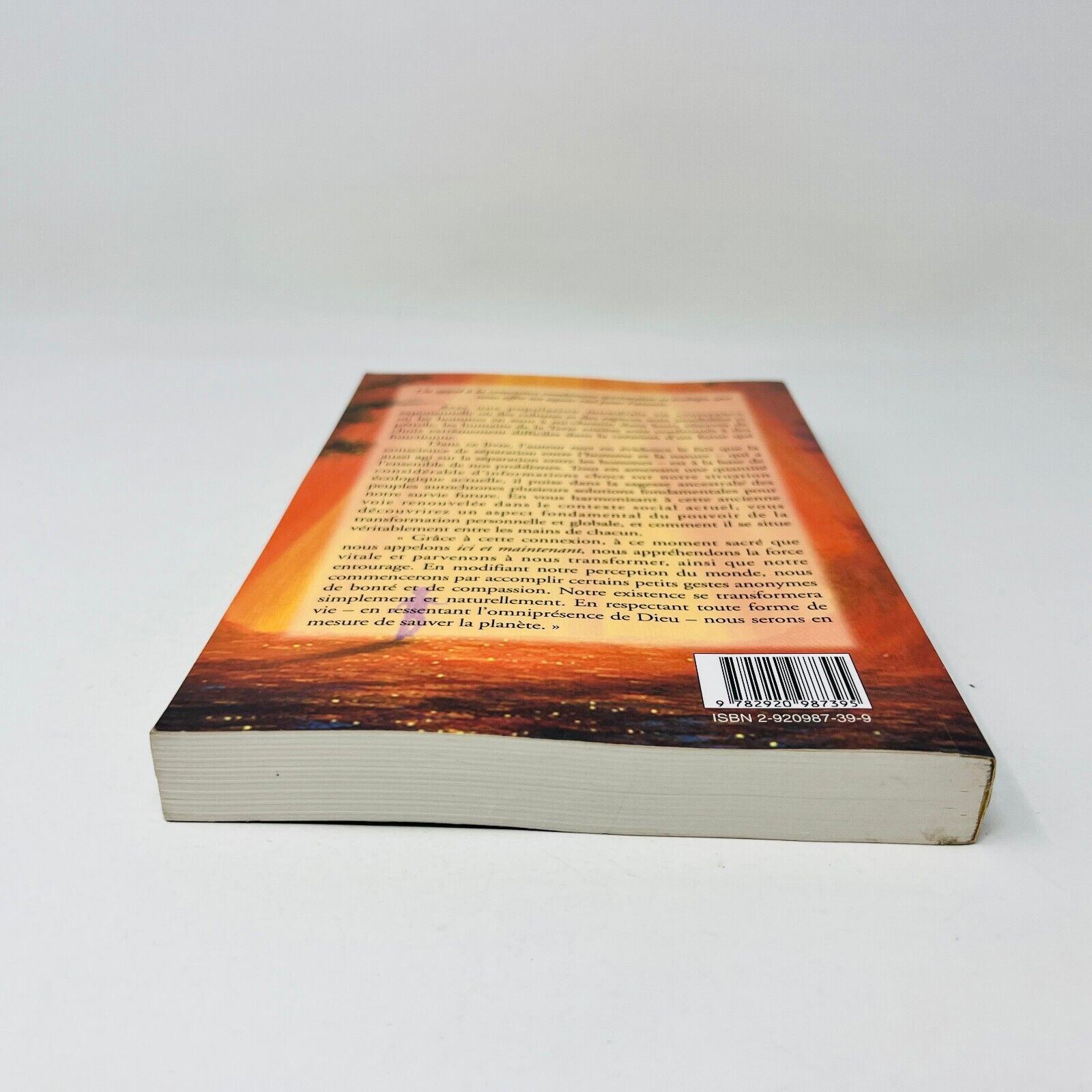 1999 Les Dernières Heures du Soleil Ancestral de Thom Hartmann Français Ariane