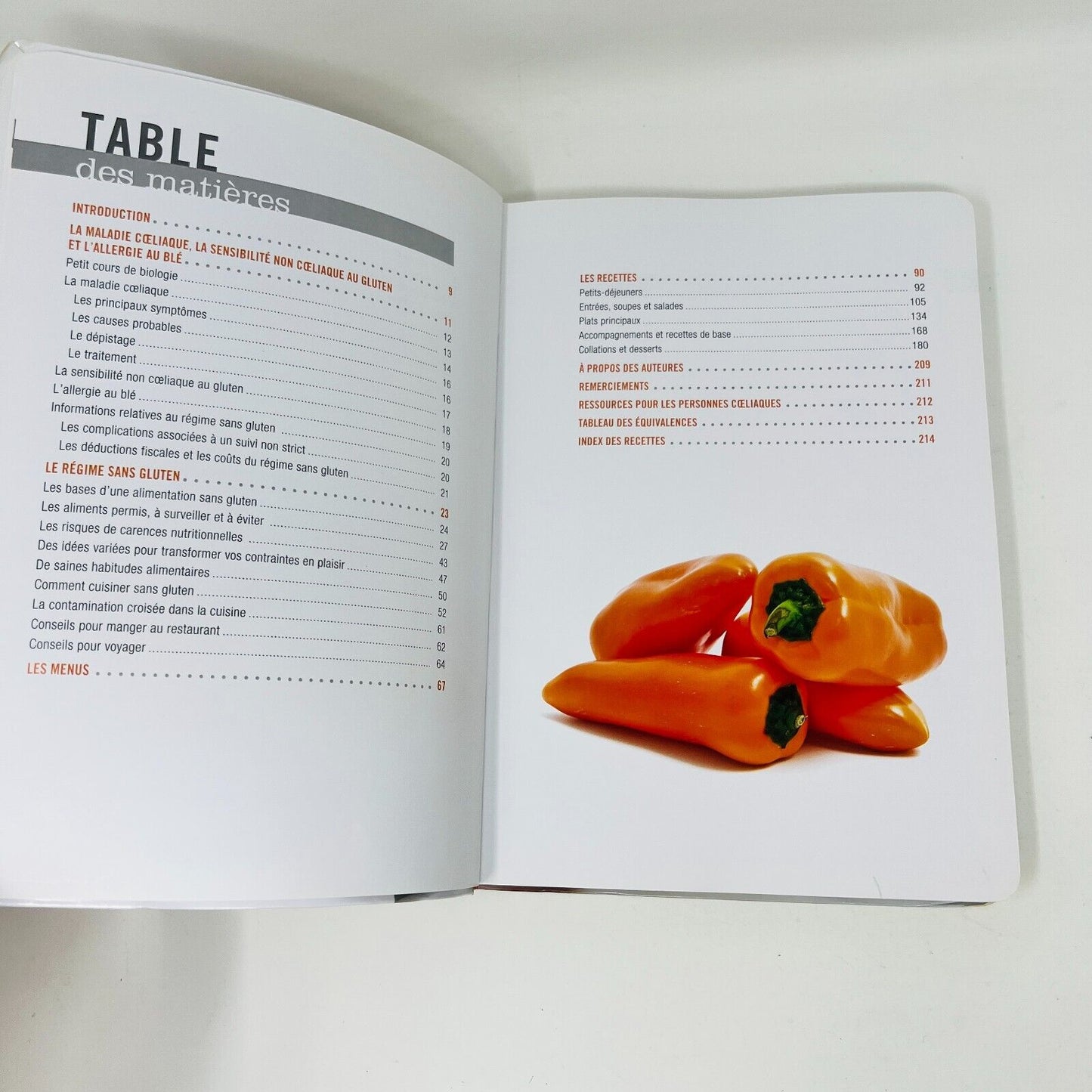 Lot de 2 Livres de Recettes Sans Gluten 21 Jours de Menus/Grand Livre Français