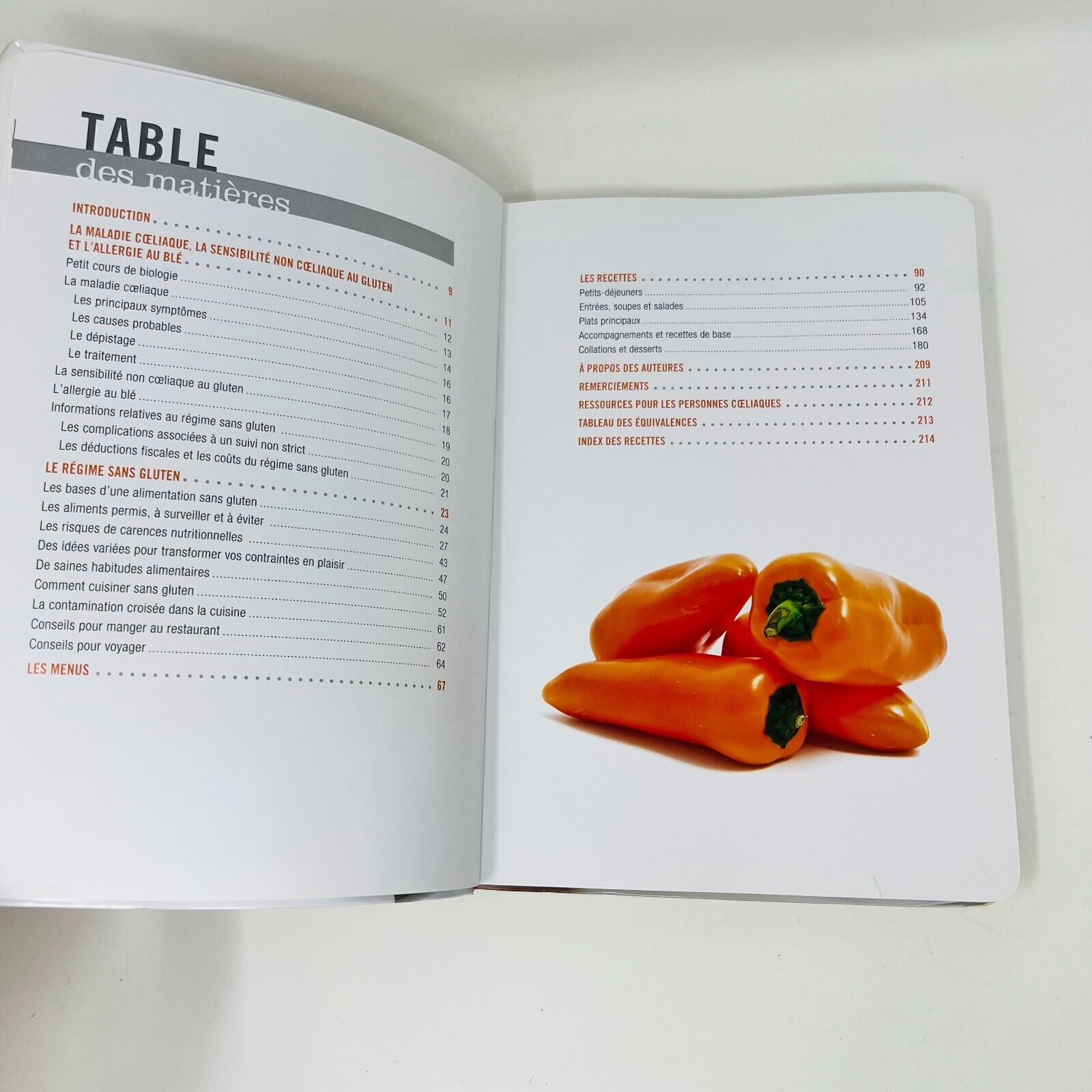 Lot de 2 Livres de Recettes Sans Gluten 21 Jours de Menus/Grand Livre Français