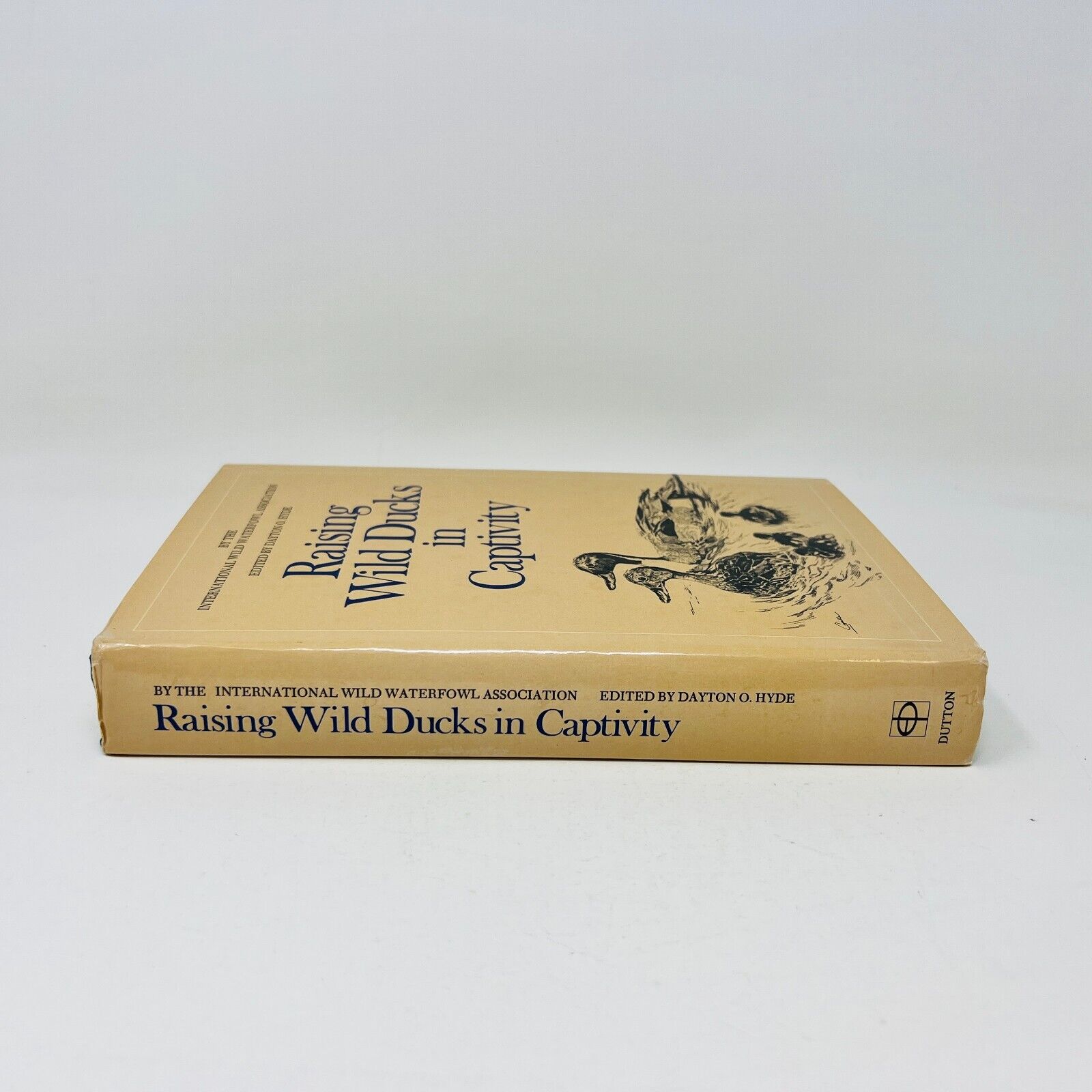 1974 Raising Wild Ducks in Captivity by Dayton O. Hyde Hardcover DJ Dutton IWWA