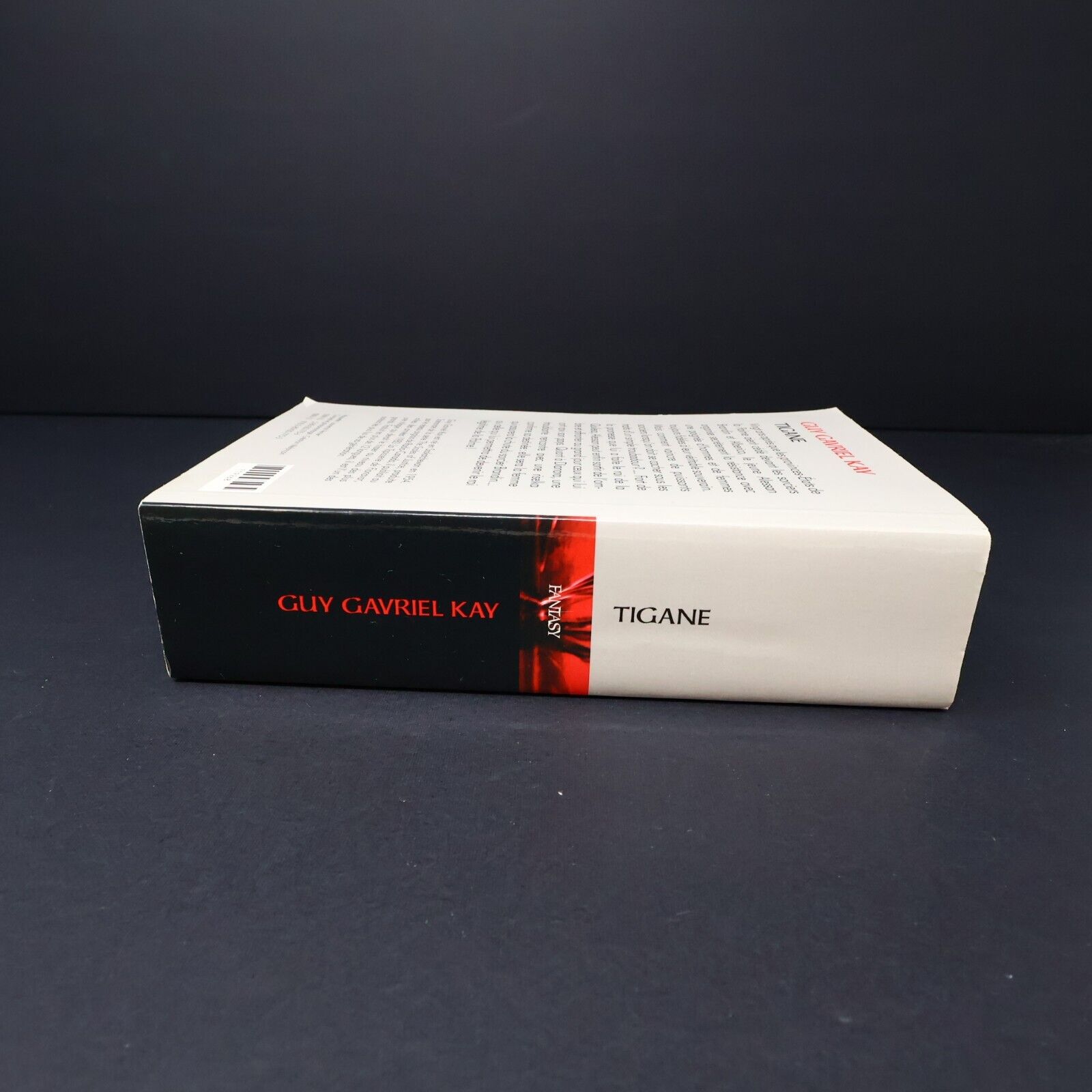 1998 Tigane de Guy Gavriel Kay Édition Intégrale Fantasy BCE Québec Loisirs PB