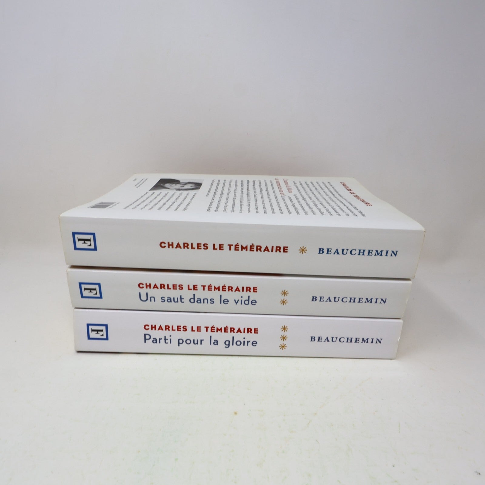 Charles le Téméraire #1-3 Série Complète Lot 3 Livres Yves Beauchemin Français