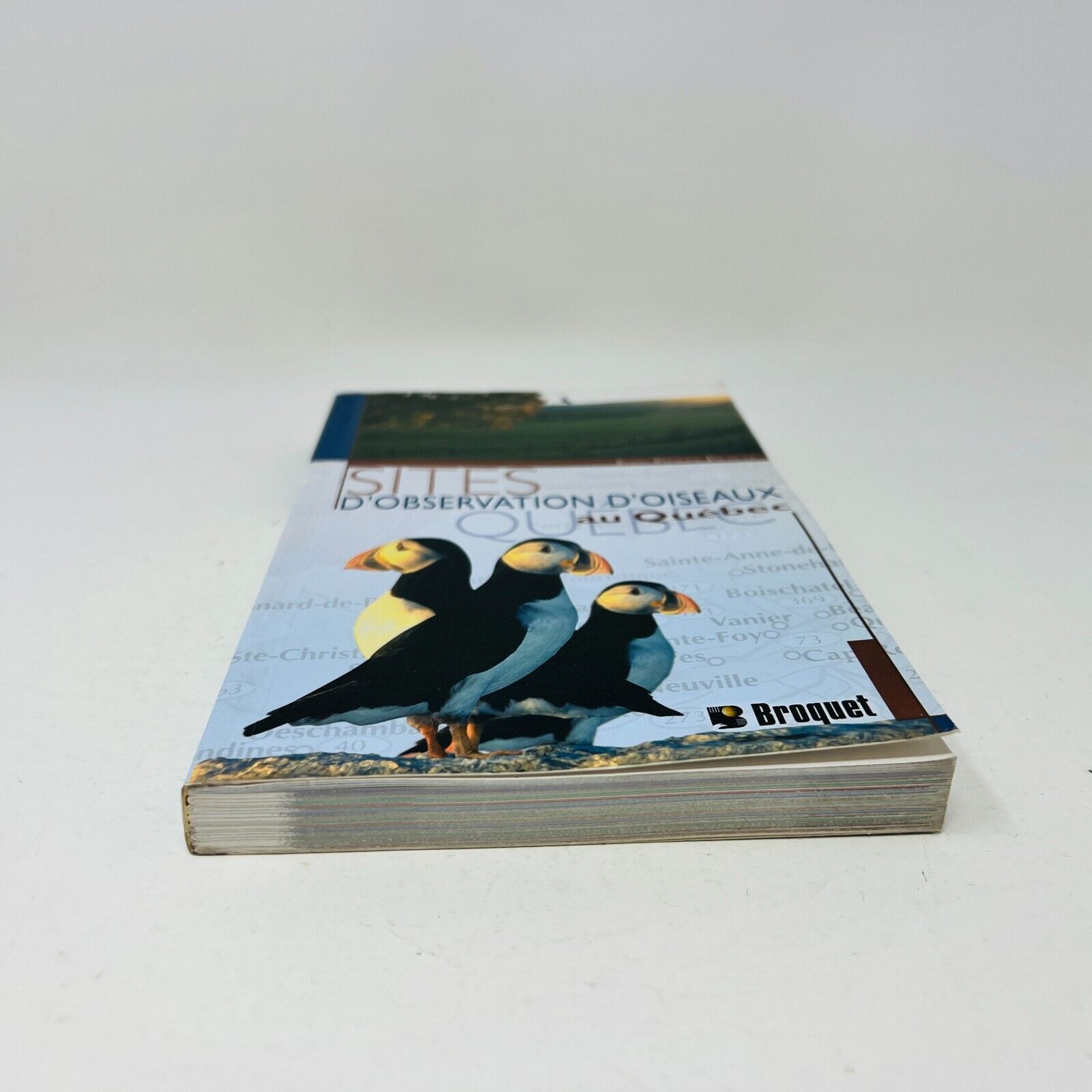 2004 Sites d'Observation d'Oiseaux au Québec Livre de Jean-Pierre Pratte Broquet
