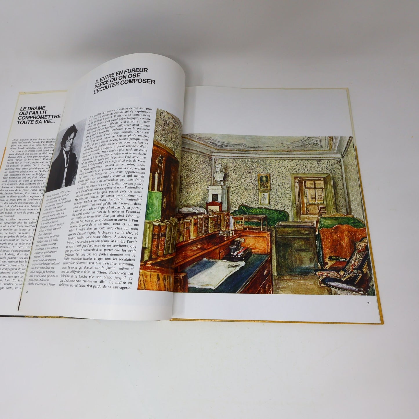 Les Grands de Tous les Temps Lot 19 Livres Français French Dargaud Histoire HC
