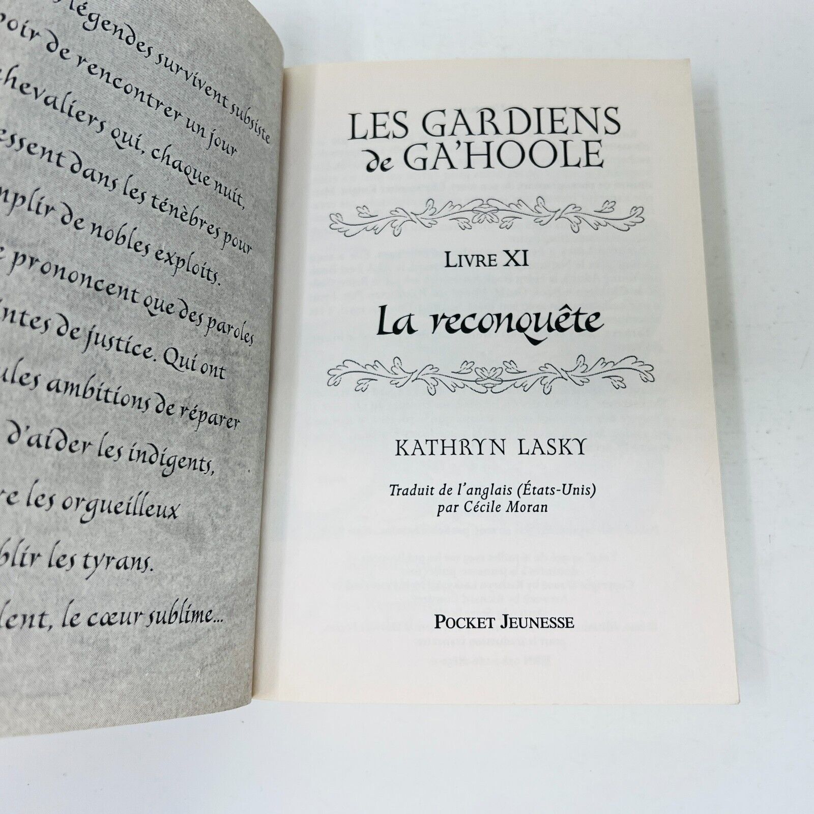 Les Gardiens de Ga'Hoole Tome 11 La Reconquête de Kathryn Lasky Pocket Français