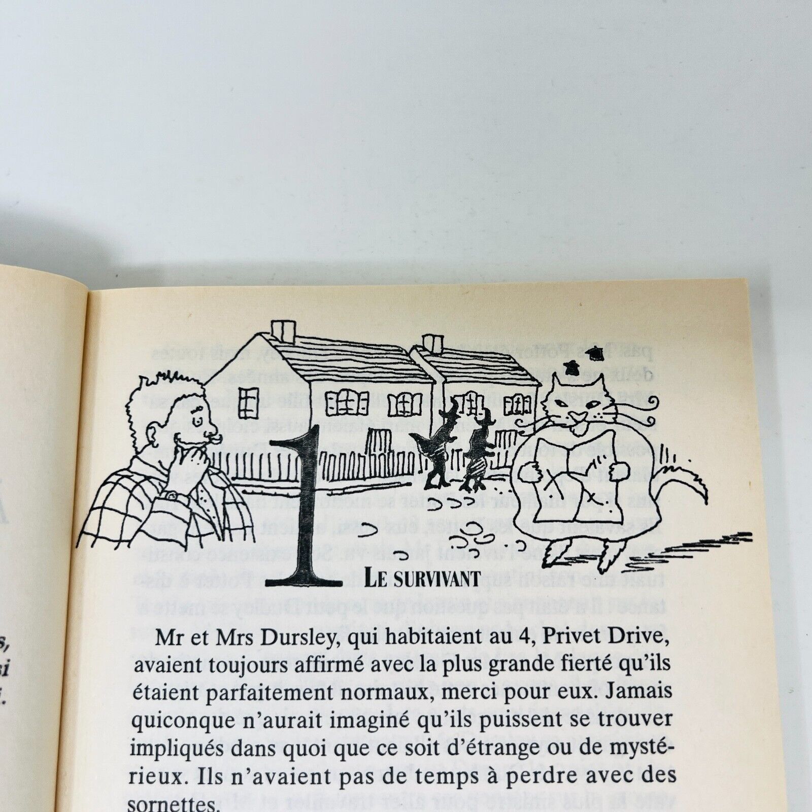 1999 Harry Potter à l'École des Sorciers Illustré Folio Junior Français Walcker