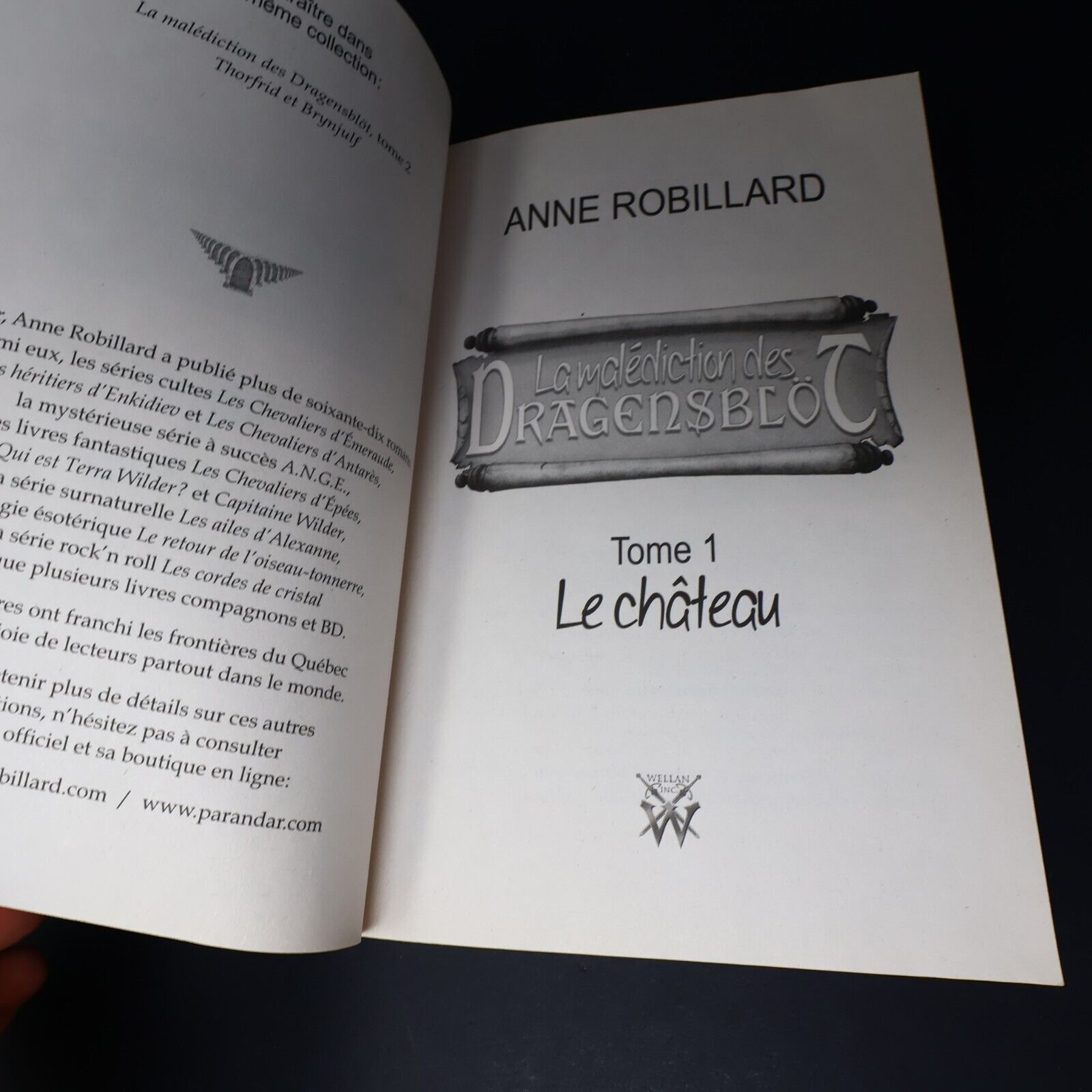 Lot 3 Livres La Malédiction des Dragensblöt #1-3 Anne Robillard Horreur French