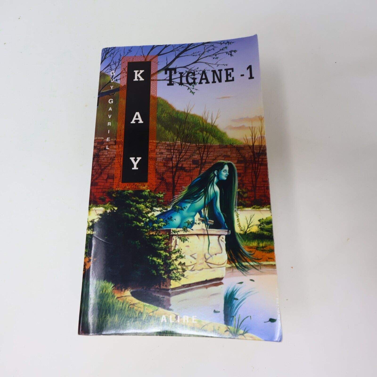 Lot 2 Livres Tigane #1-2 Guy Gavriel Kay Série Complète Fantasy 1998 Français PB