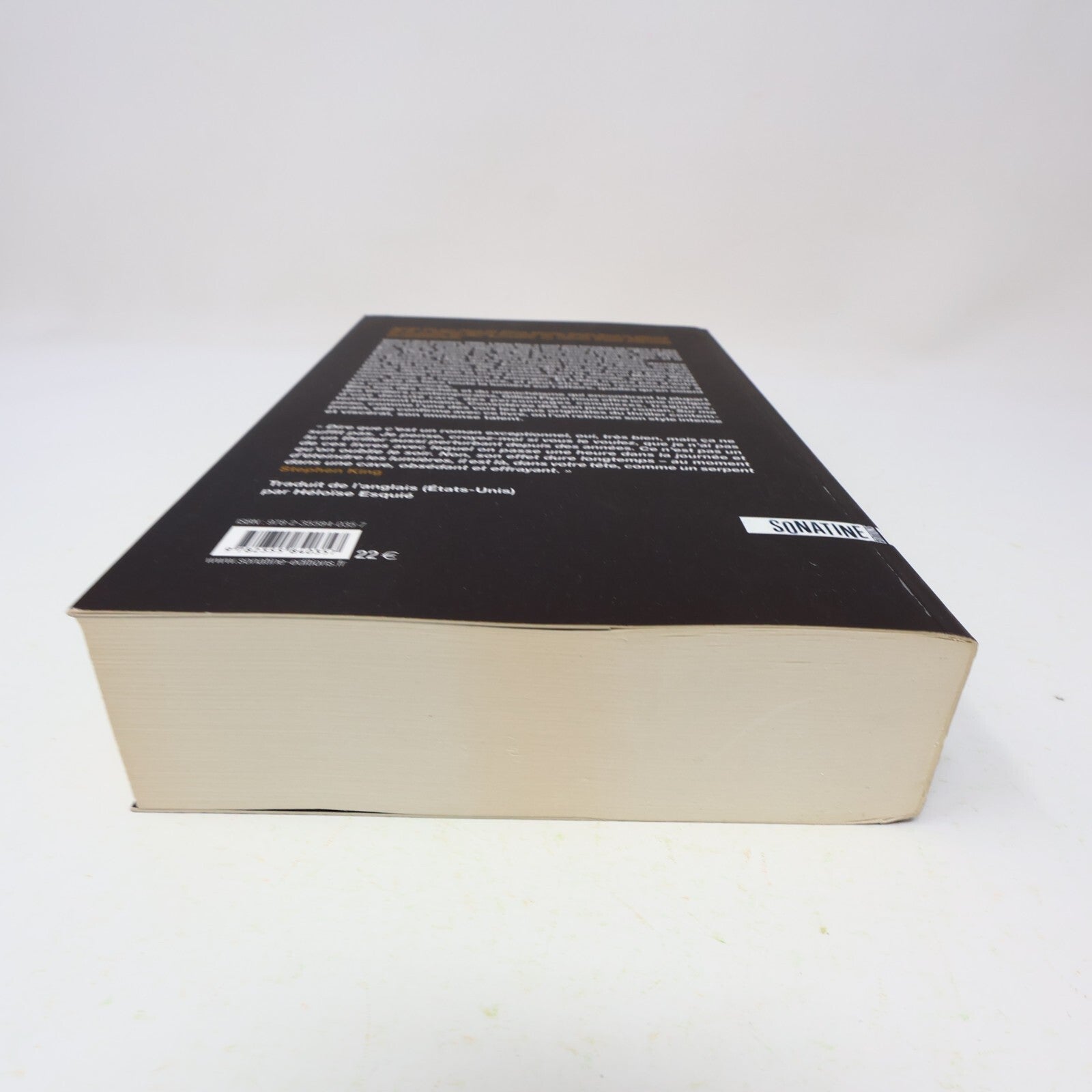 2009 Les Lieux Sombres Gillian Flynn Sonatine Crime et Mystère Policier Thriller