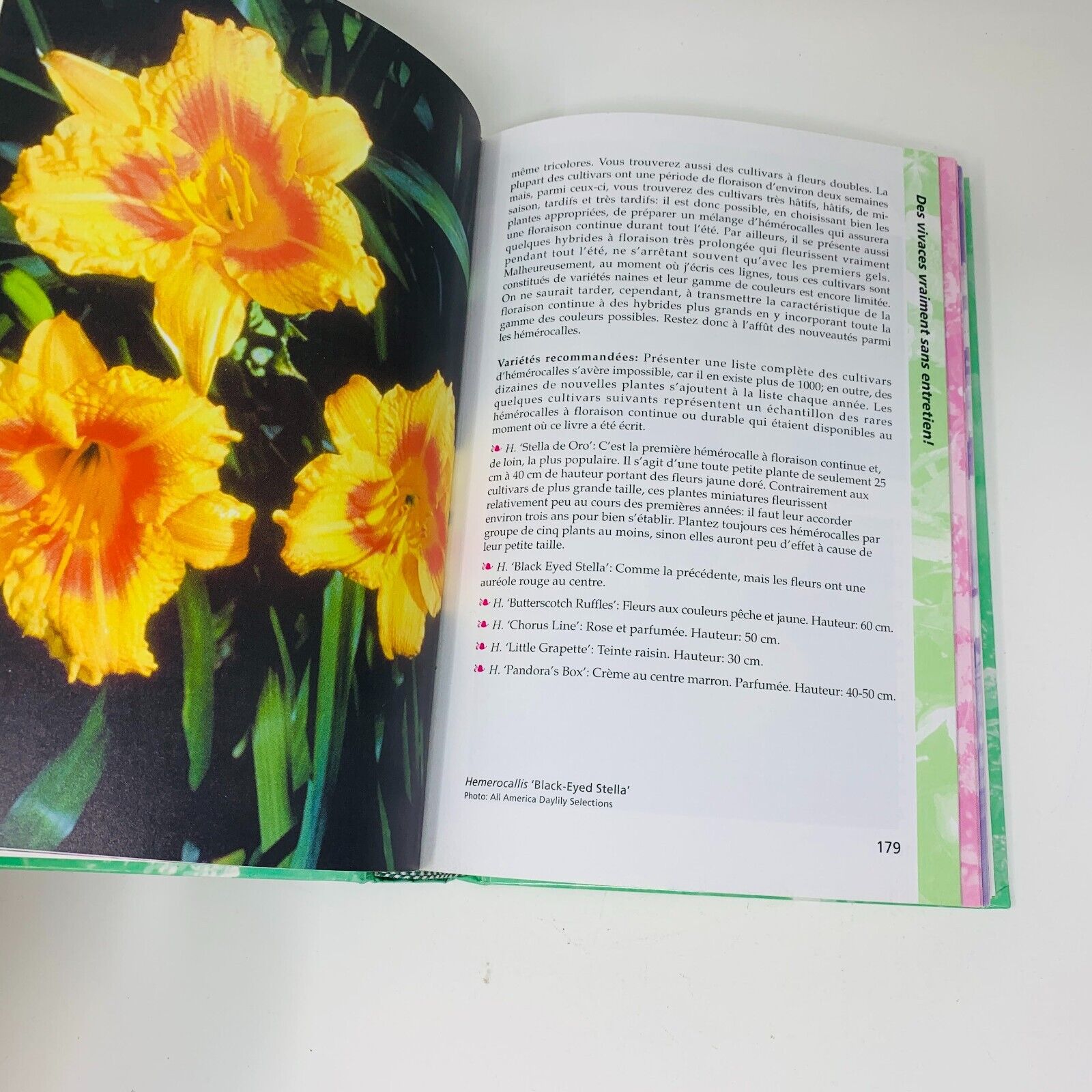 Coffret Vivaces & Annuelles pour le Québec Le Jardinier Paresseux Larry Hodgson