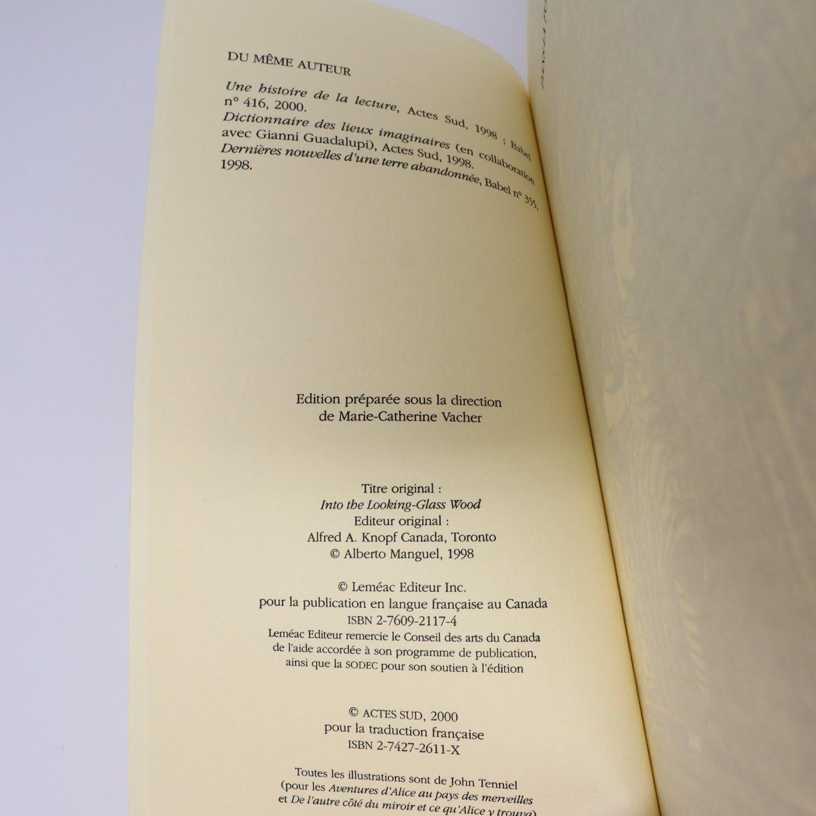 Alberto Manguel Lot 2 Livres Dans la Forêt du Miroir/Histoire de Lecture Essai