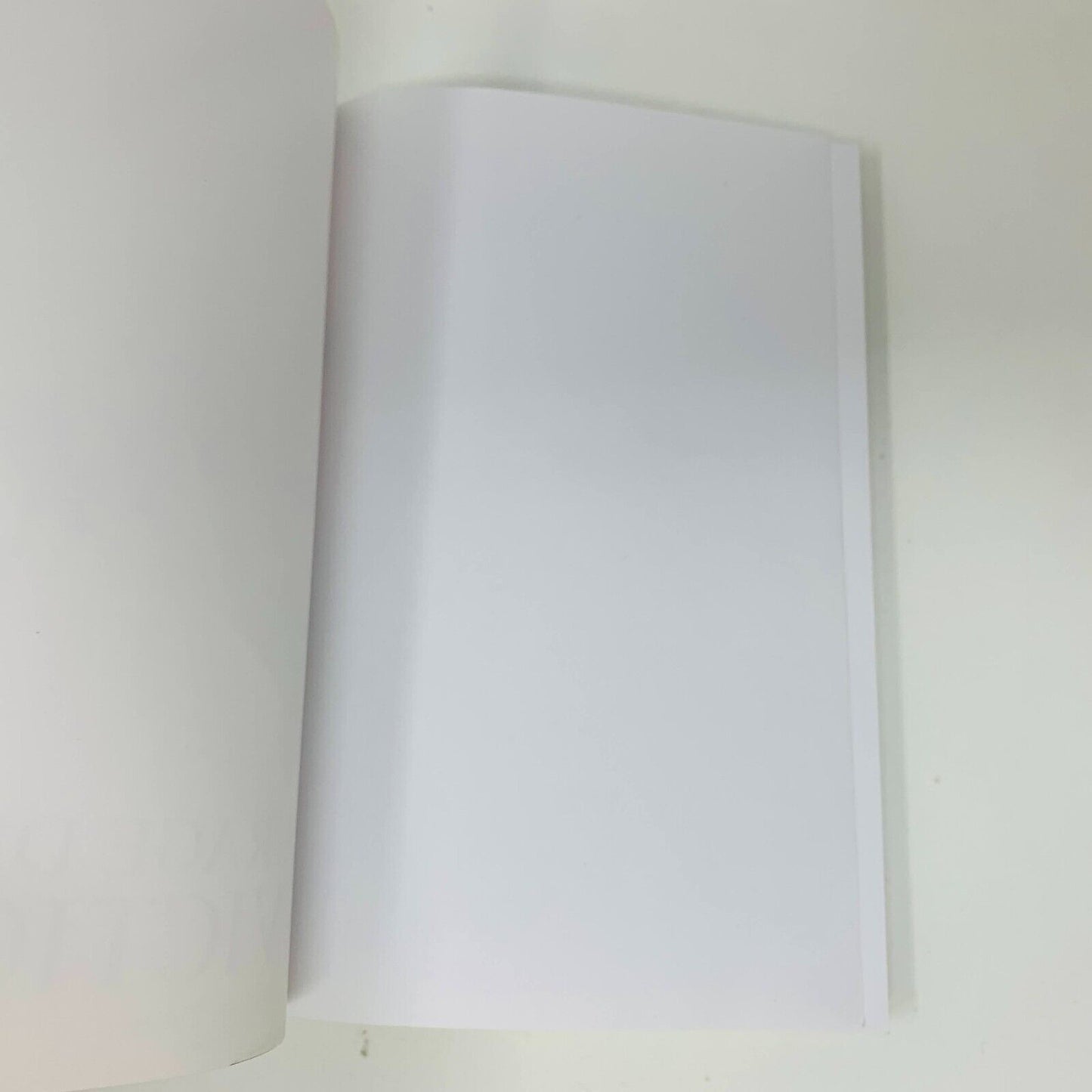 2015 Le Courage de ses Convictions Thomas Mulcair Autobiographie Signée Français
