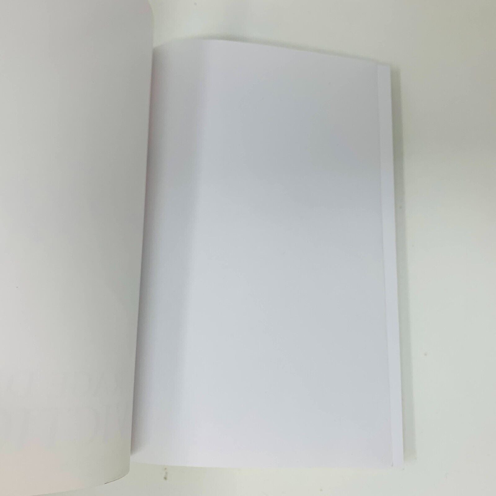 2015 Le Courage de ses Convictions Thomas Mulcair Autobiographie Signée Français