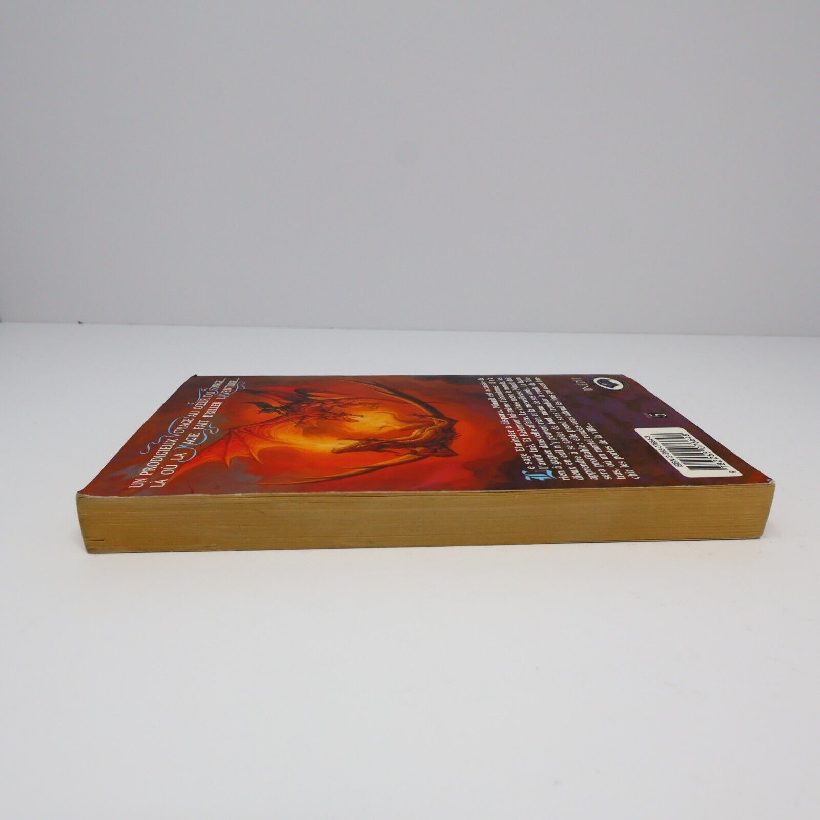 2003 Royaumes Oubliés #2 Tantras La Trilogie des Avatars Forgotten Realms Livre