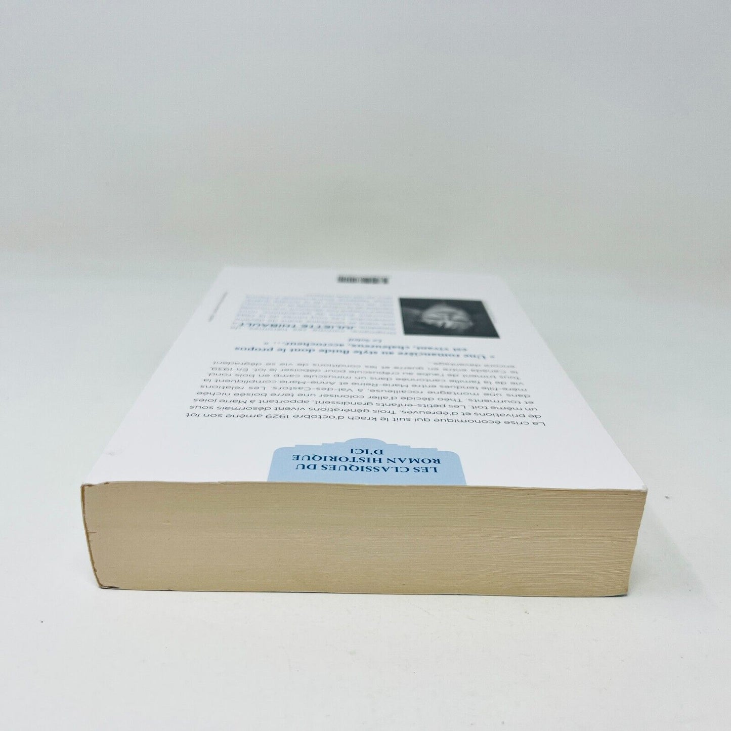 2019 Madame Tout-Le-Monde #2 Jardins de Givre de Juliette Thibault Hurtubise PB