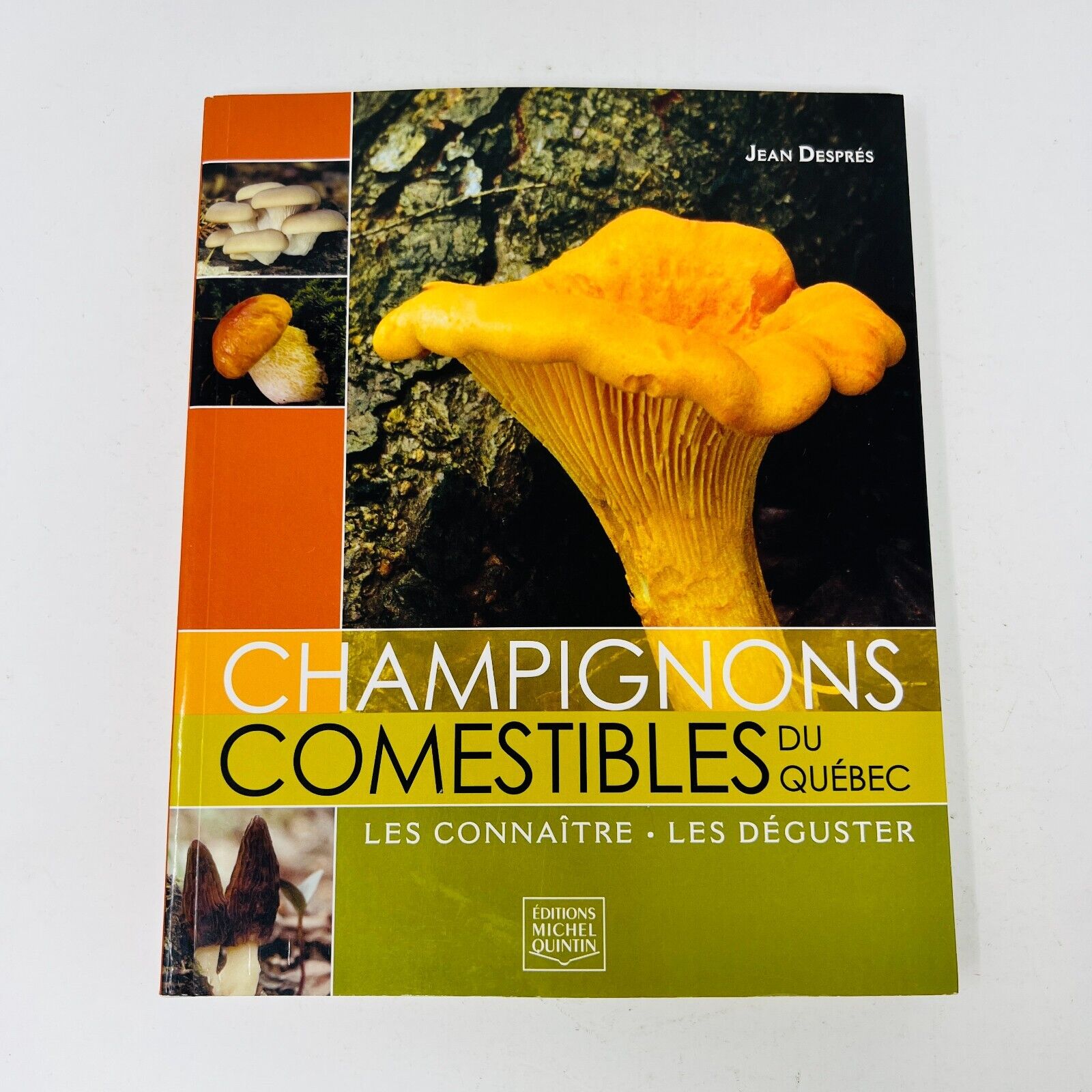 2008 Champignons Comestibles du Québec de Jean Després Français Identification