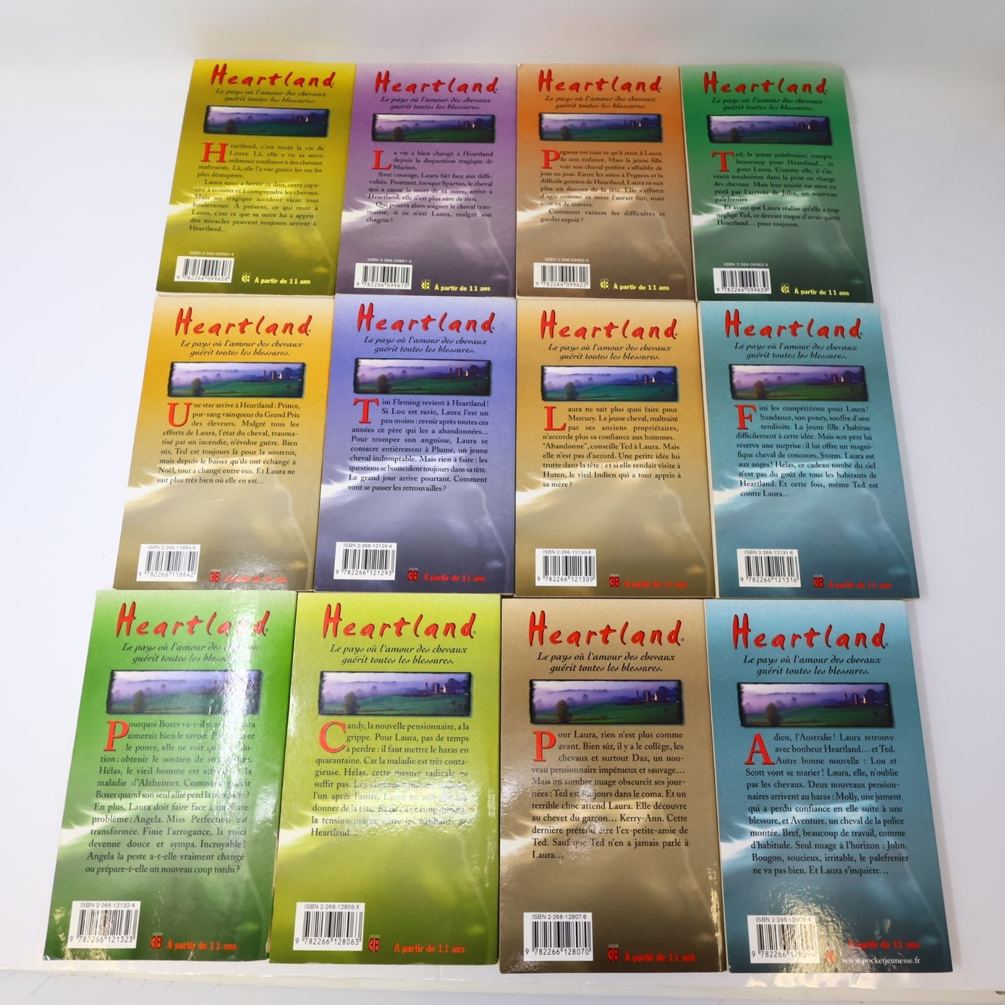Heartland Lot 19 Livres Lauren Brooke Pocket Je Reste!/Après l'Orage Chevaux PB