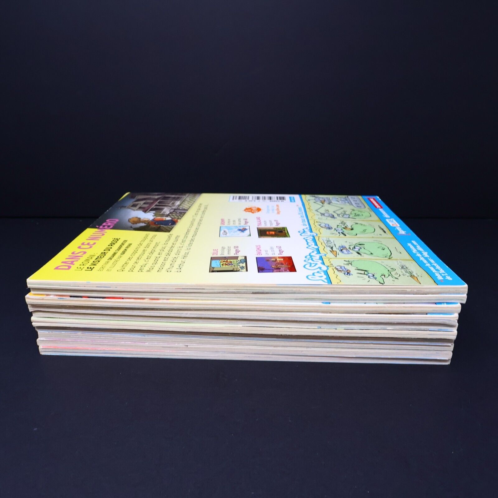 Lot 10 Magazines DLire Enfants Magazine Bayard Le Maître et les Elfes Français